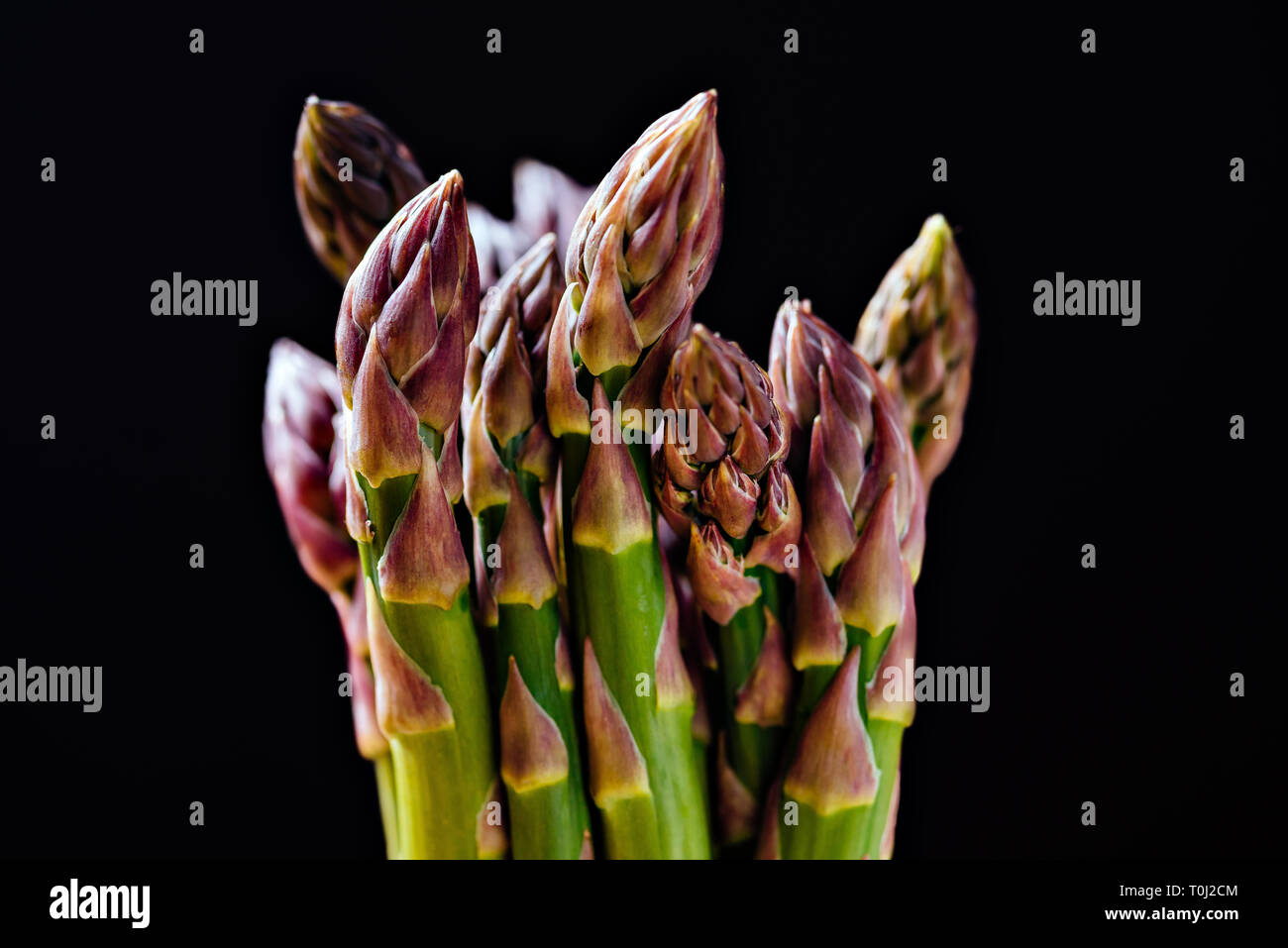 Tips of fresh raw asparagus ready to be cooked Stock Photo Alamy
