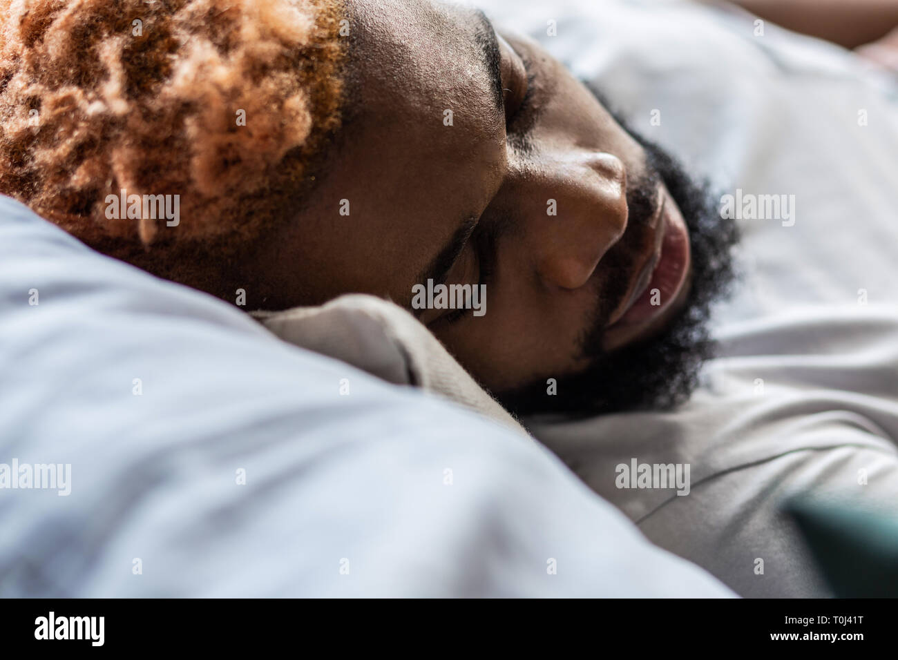 Portrait of a nice handsome man while sleeping Stock Photo - Alamy