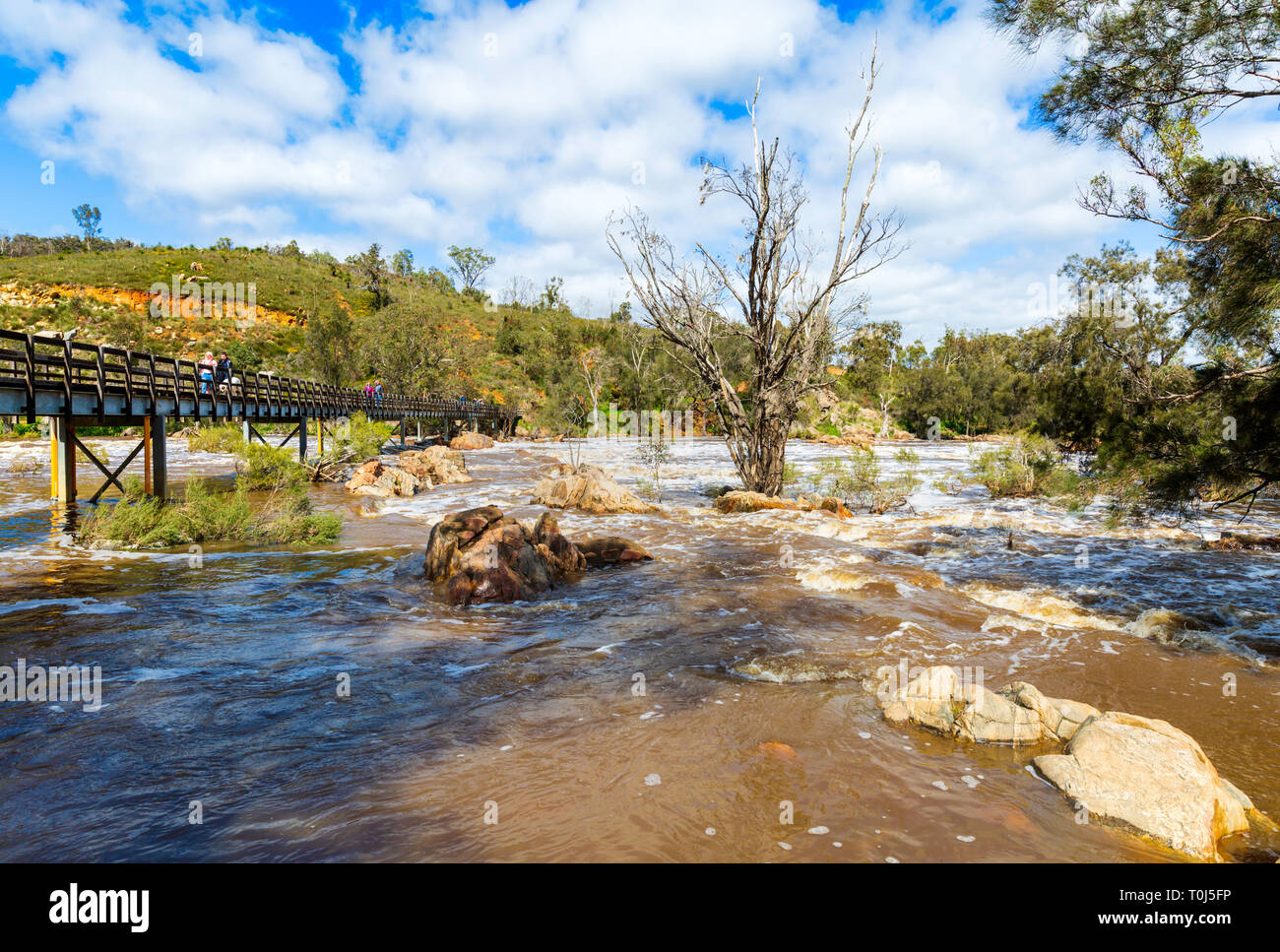 Bells Rapids, Brigadoon, Perth, Western Australia, Australia Stock Photo
