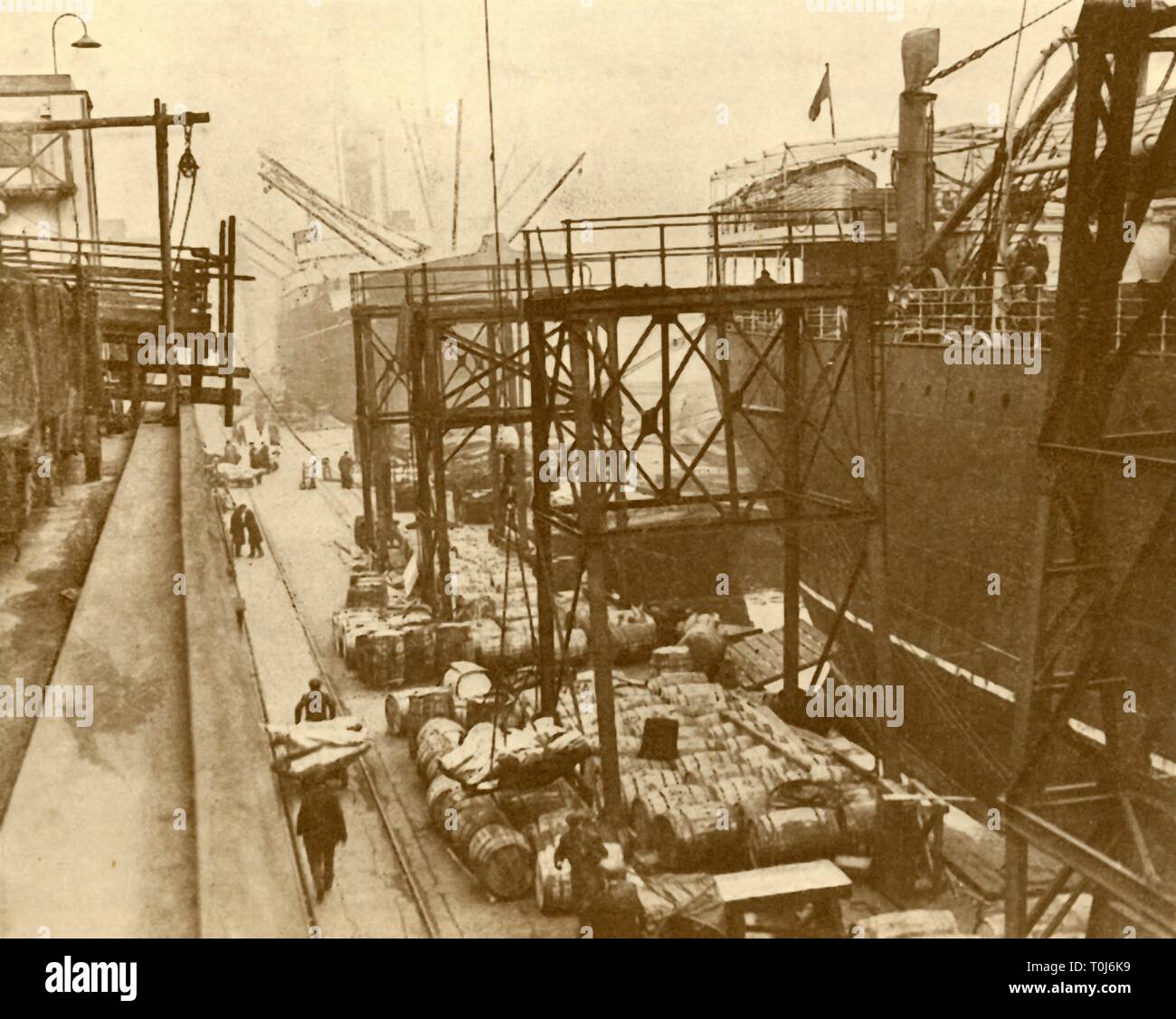 'Unloading Foodships at the Royal Albert Docks, London', c1930. Creator: Unknown. Stock Photo