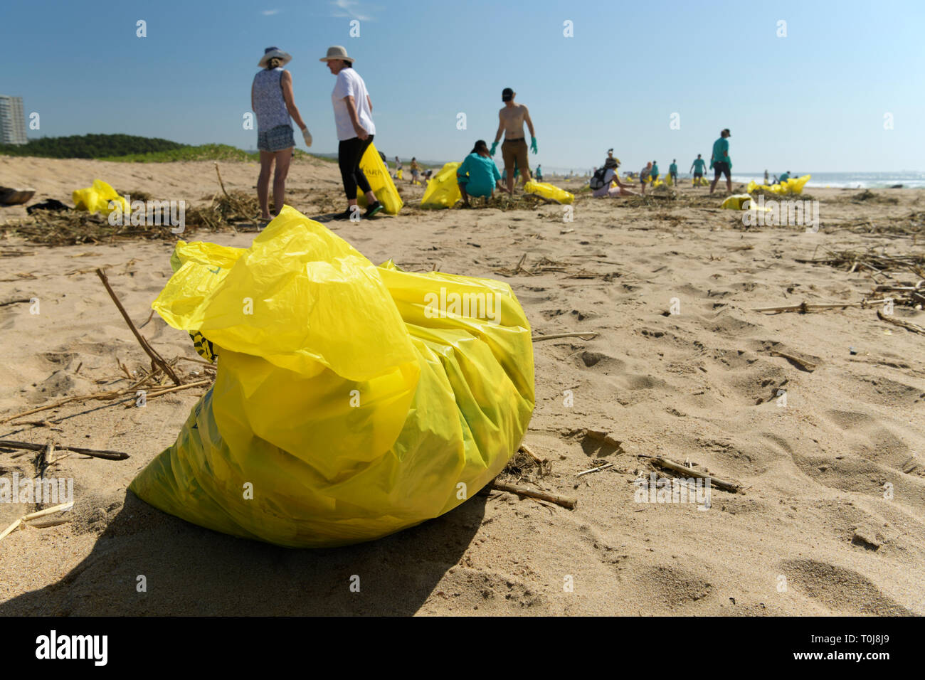 Durban, KwaZulu-Natal, South Africa, plastic pollution, citizens working as community volunteers to clean up human waste from beach, people, landscape Stock Photo