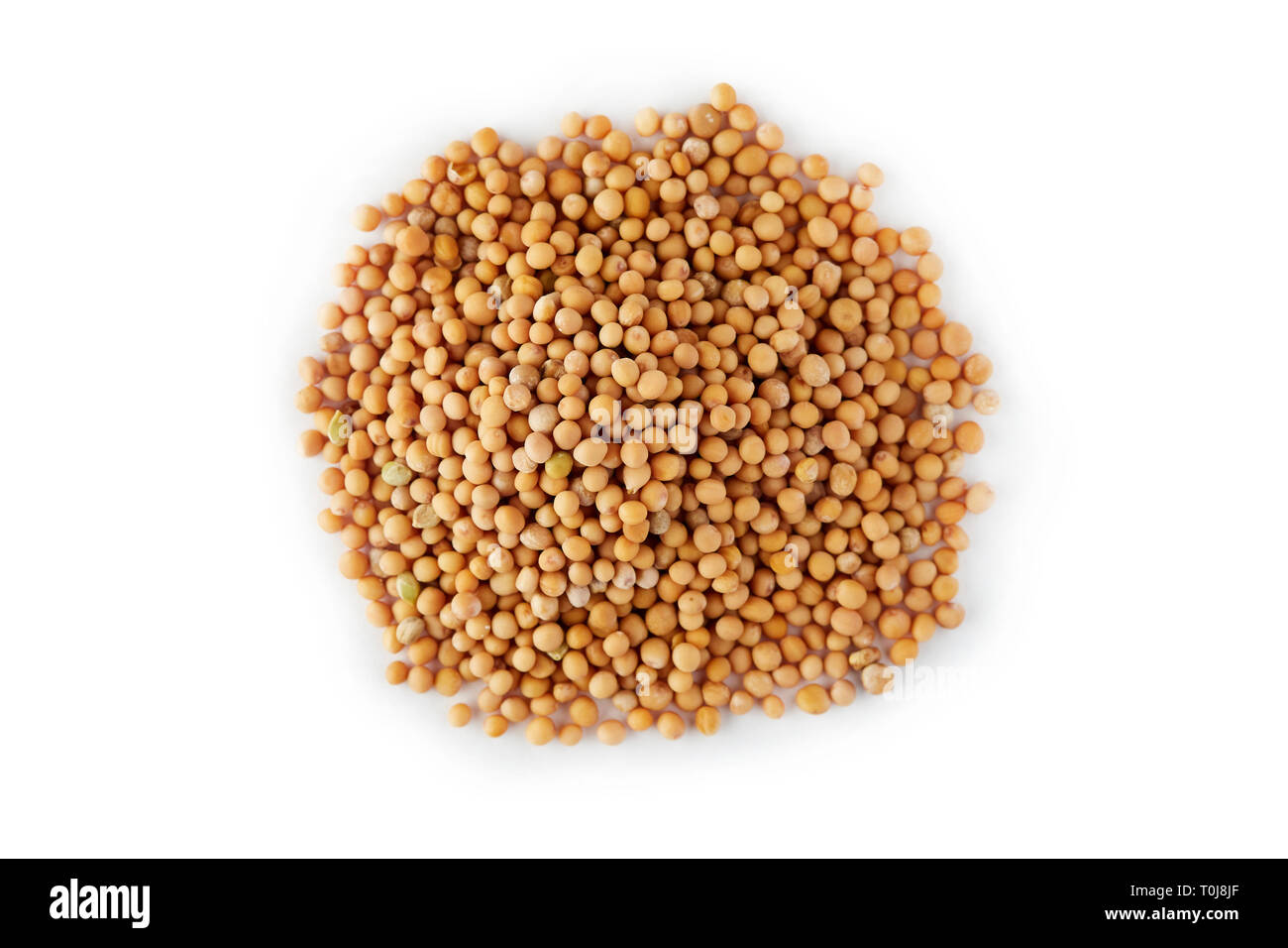 Organic yellow mustard seeds isolated on white background Stock Photo Alamy