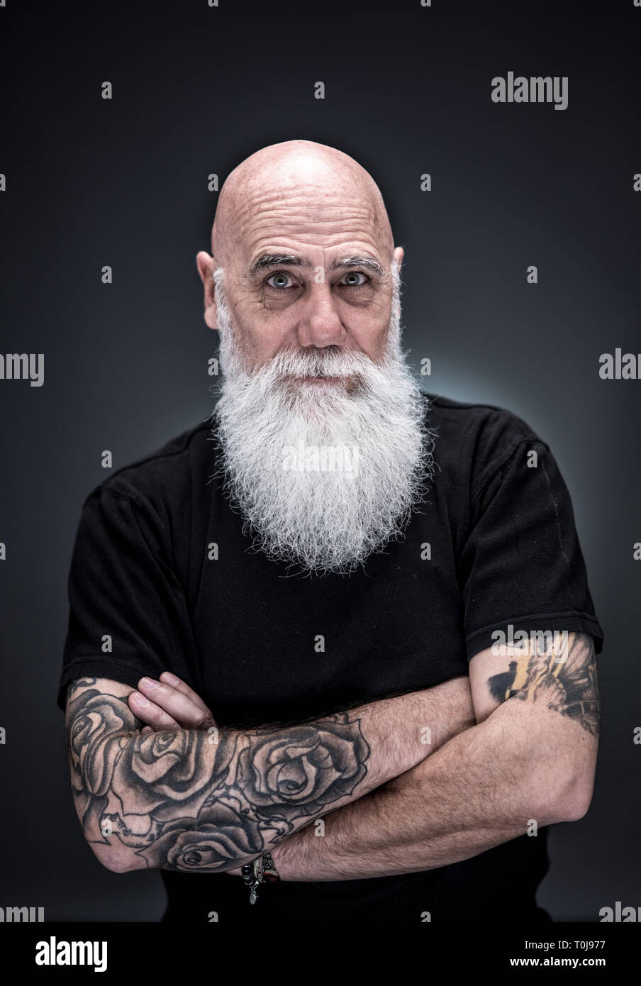 studio portrait of a bald man with tattooed arms and white beard Stock  Photo - Alamy