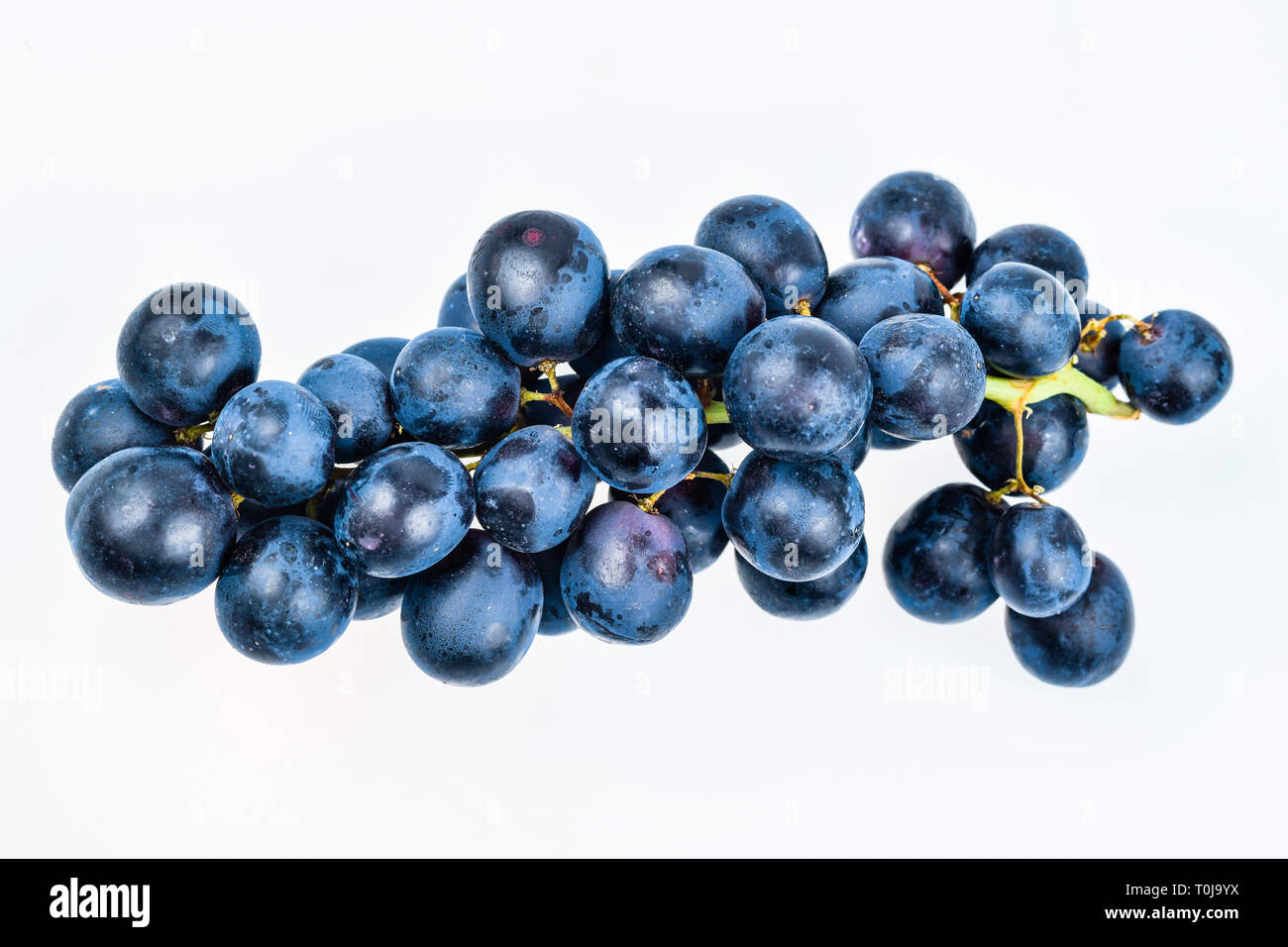 Red bunches of grapes, studio admission, Rote Weintrauben, Studioaufnahme Stock Photo