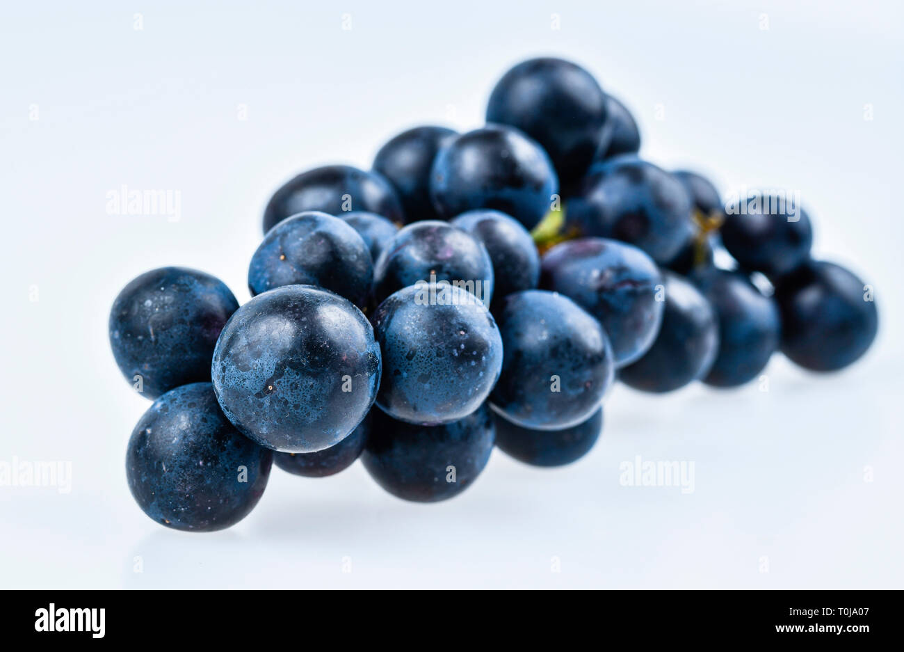 Red bunches of grapes, studio admission, Rote Weintrauben, Studioaufnahme Stock Photo