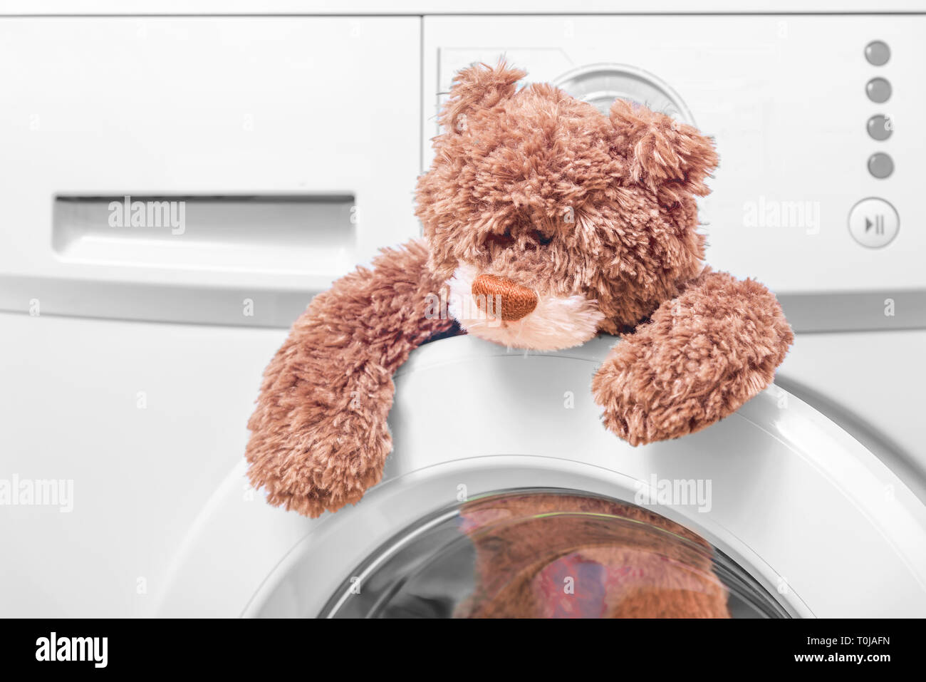 washing teddy bear in washing machine