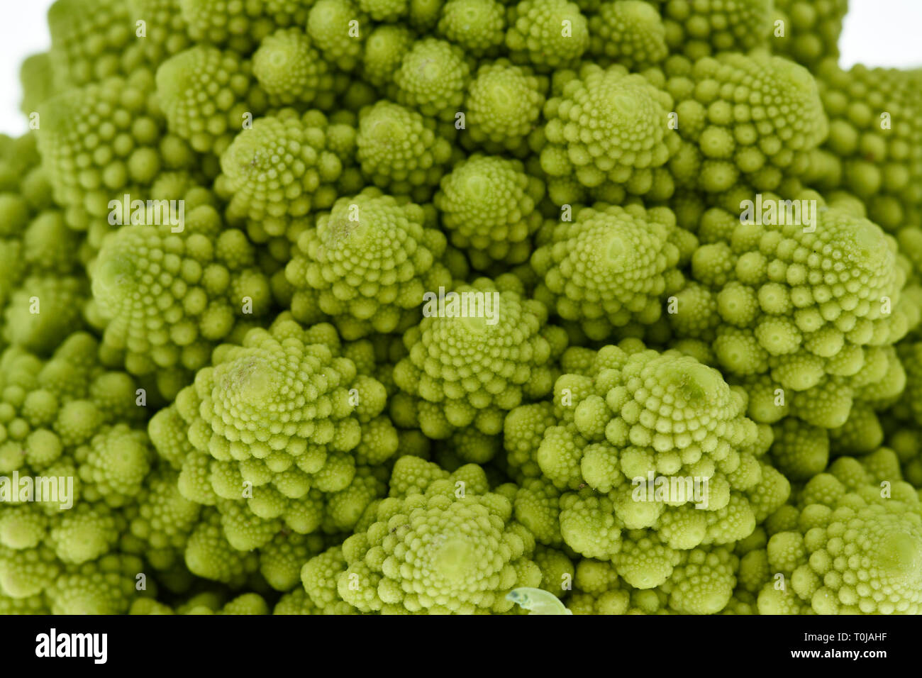 Romanesco blumenkohl hi-res stock photography and images - Alamy