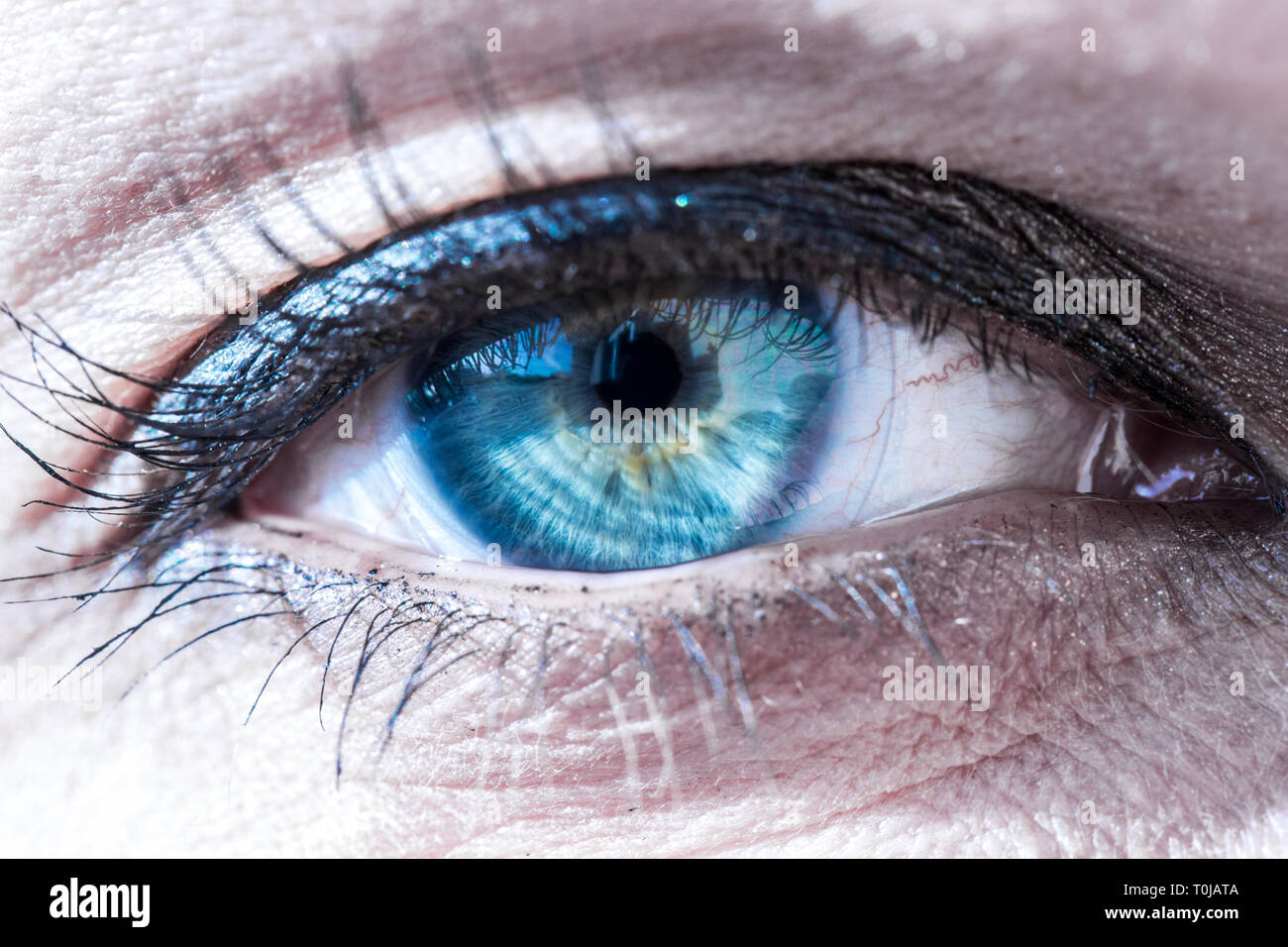 A beautiful makro closeup of an eye. Stock Photo