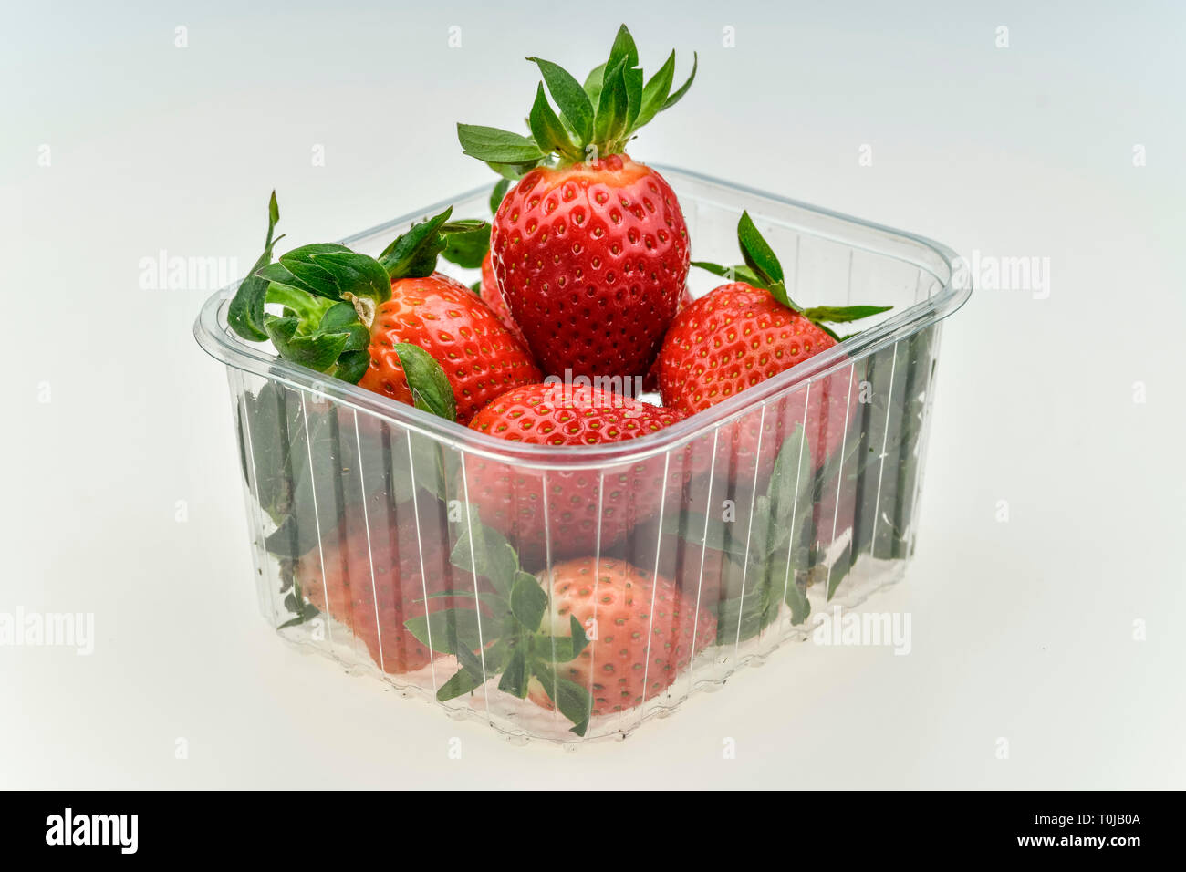 Strawberries, studio admission, Erdbeeren, Studioaufnahme Stock Photo