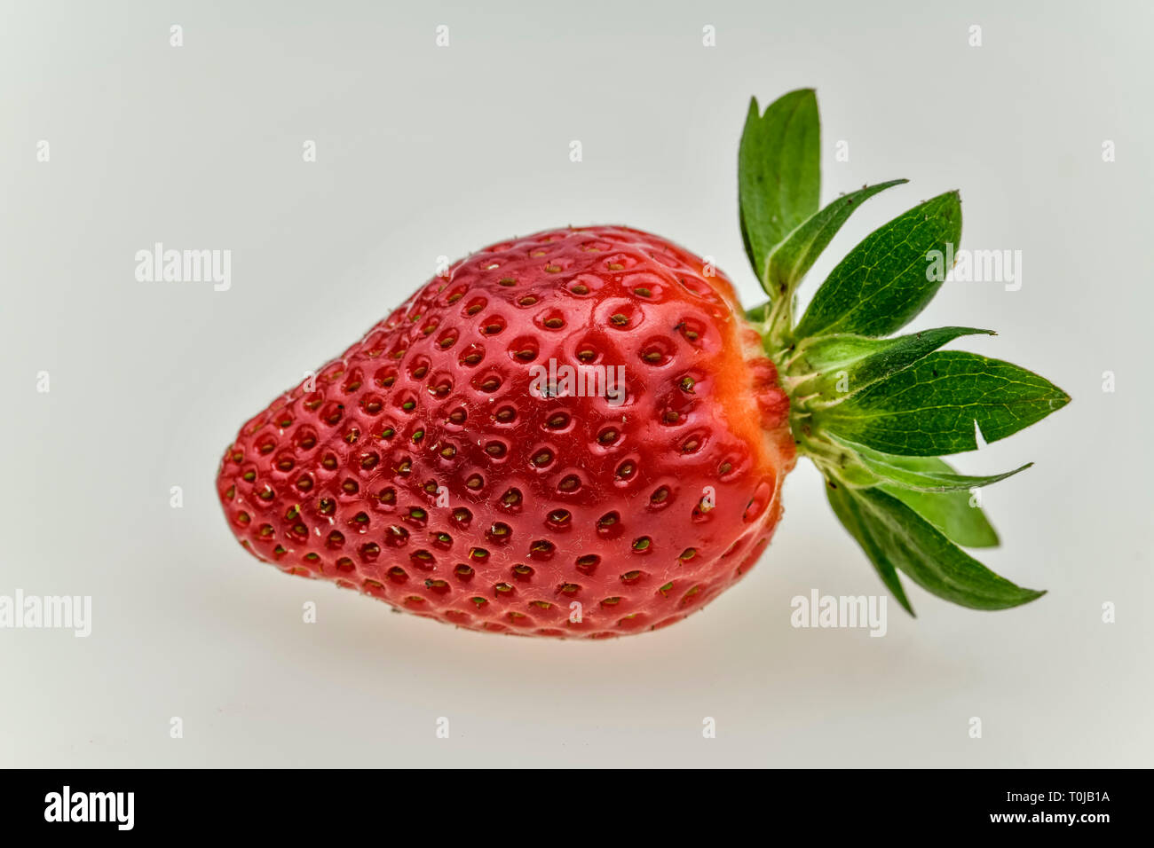 Strawberry, studio admission, Erdbeere, Studioaufnahme Stock Photo