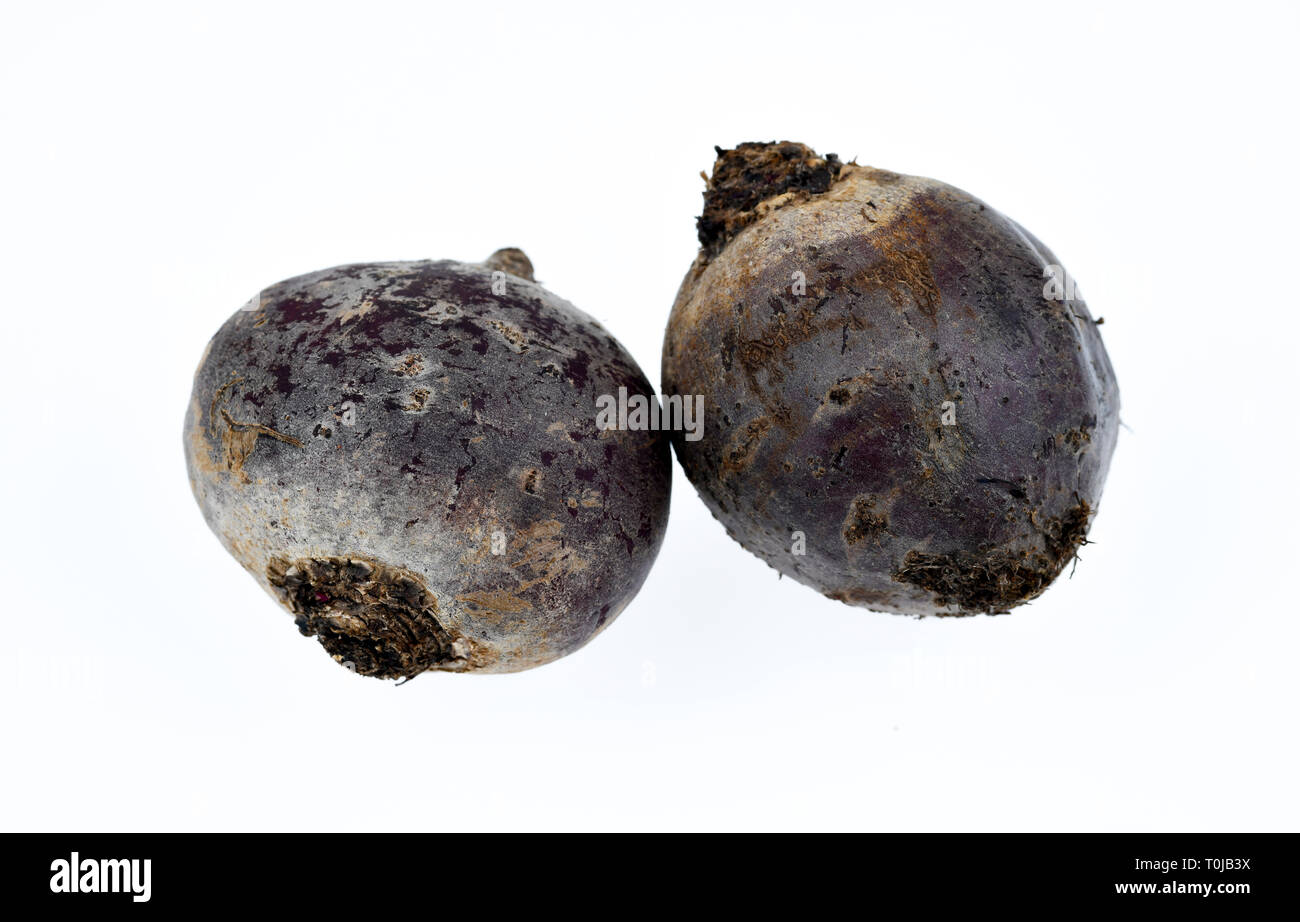 Beetroot, studio admission, Rote Bete, Studioaufnahme Stock Photo