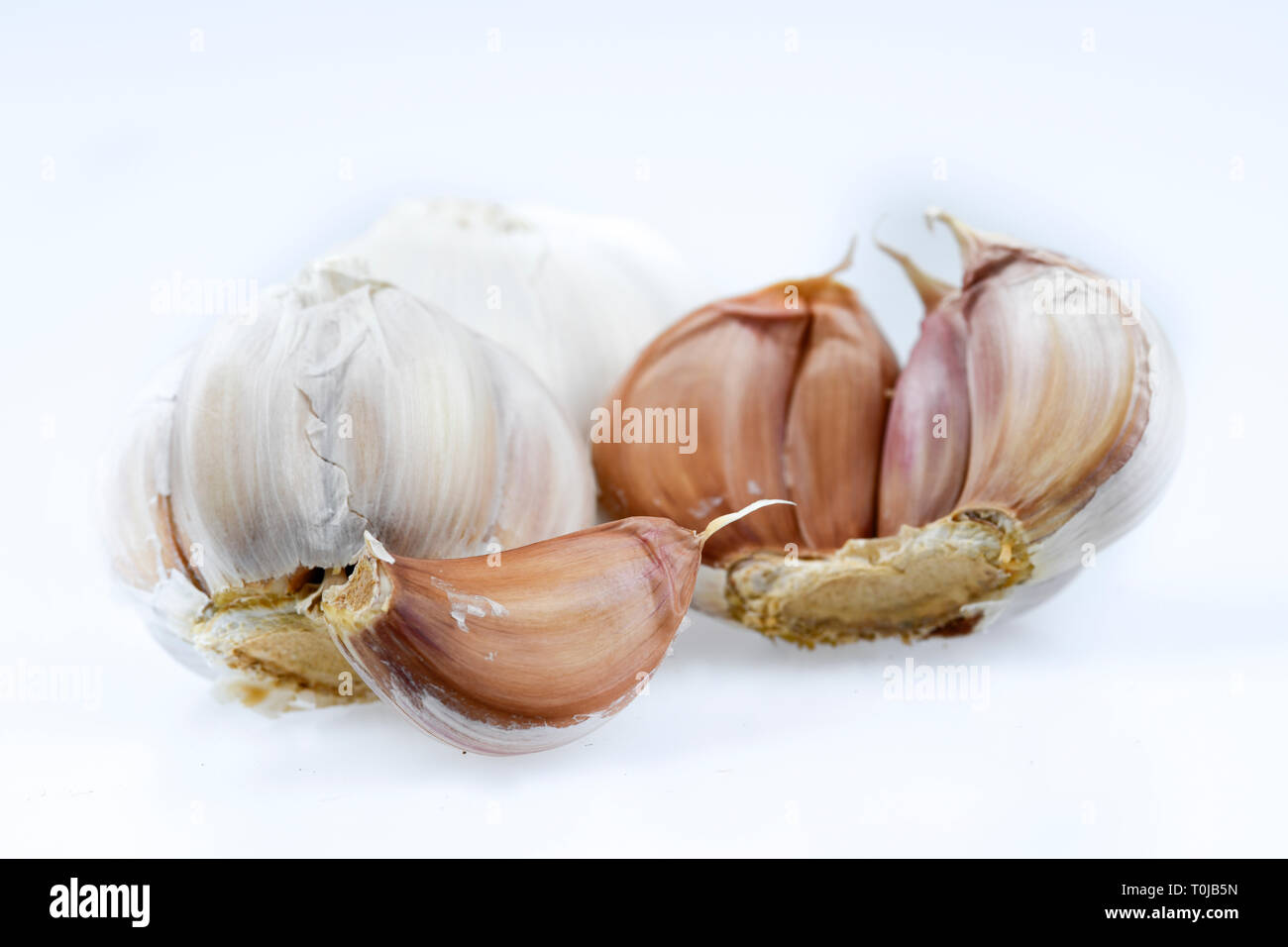 Garlic, studio admission, Knoblauch, Studioaufnahme Stock Photo