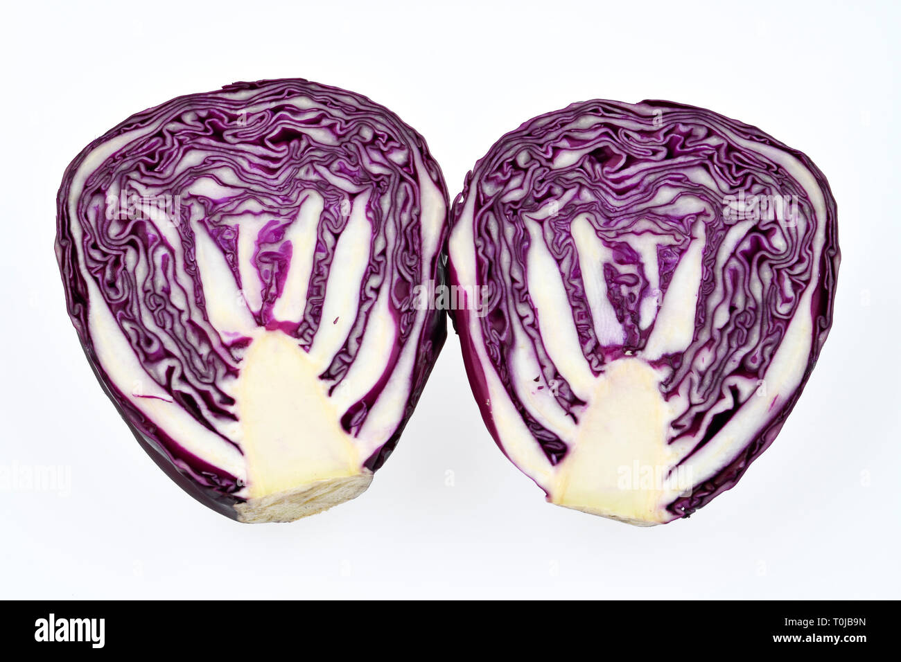 Red cabbage, studio admission, Rotkohl, Studioaufnahme Stock Photo