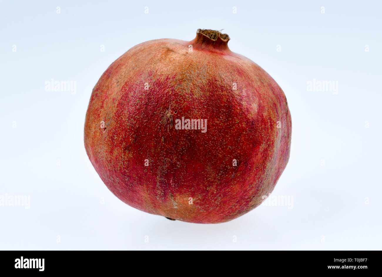 Pomegranate (Punica granatum), studio admission, Granatapfel (Punica granatum), Studioaufnahme Stock Photo