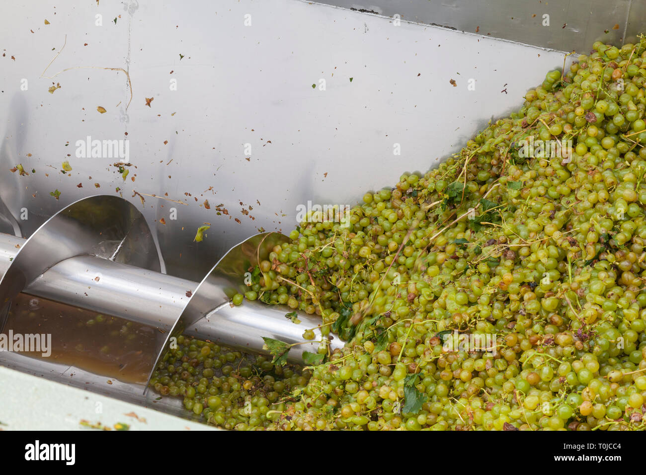 Harvesting harvest hires stock photography and images Alamy