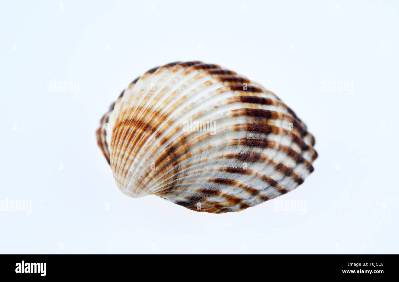 Bildagentur Online Schoning High Resolution Stock Photography And Images Alamy