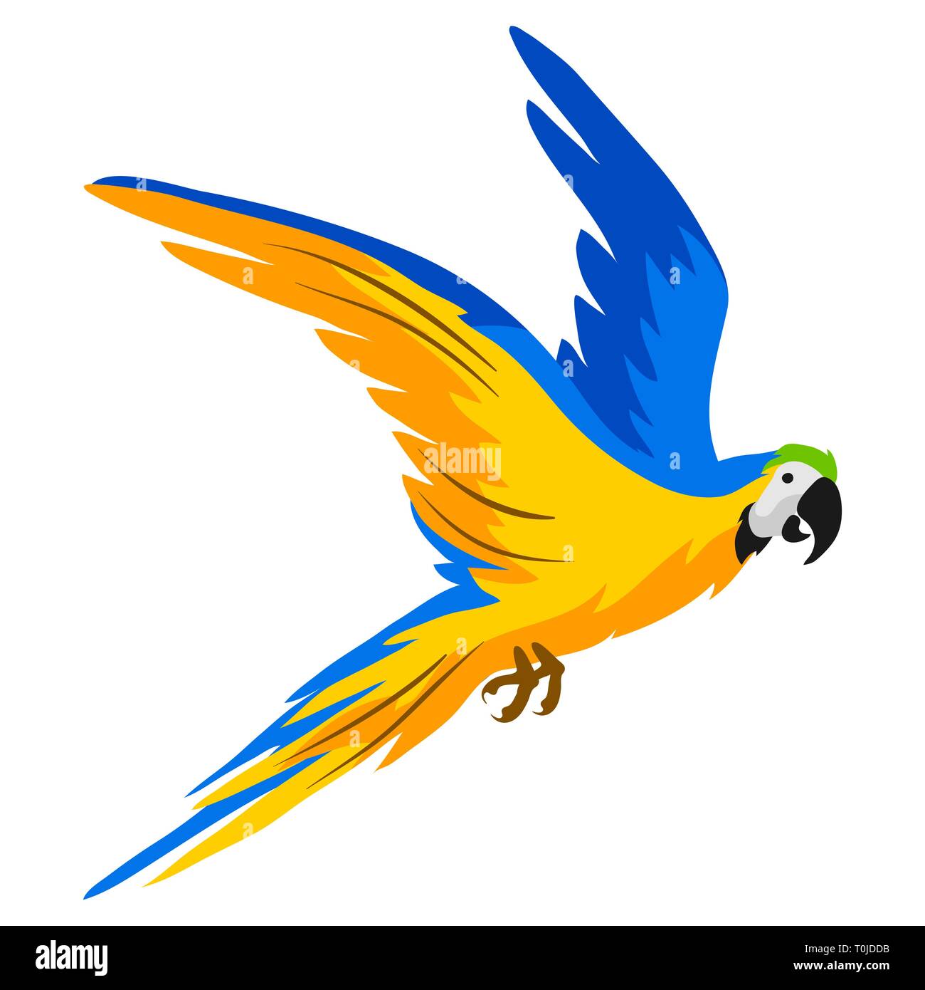 Blue Macaw Clipart