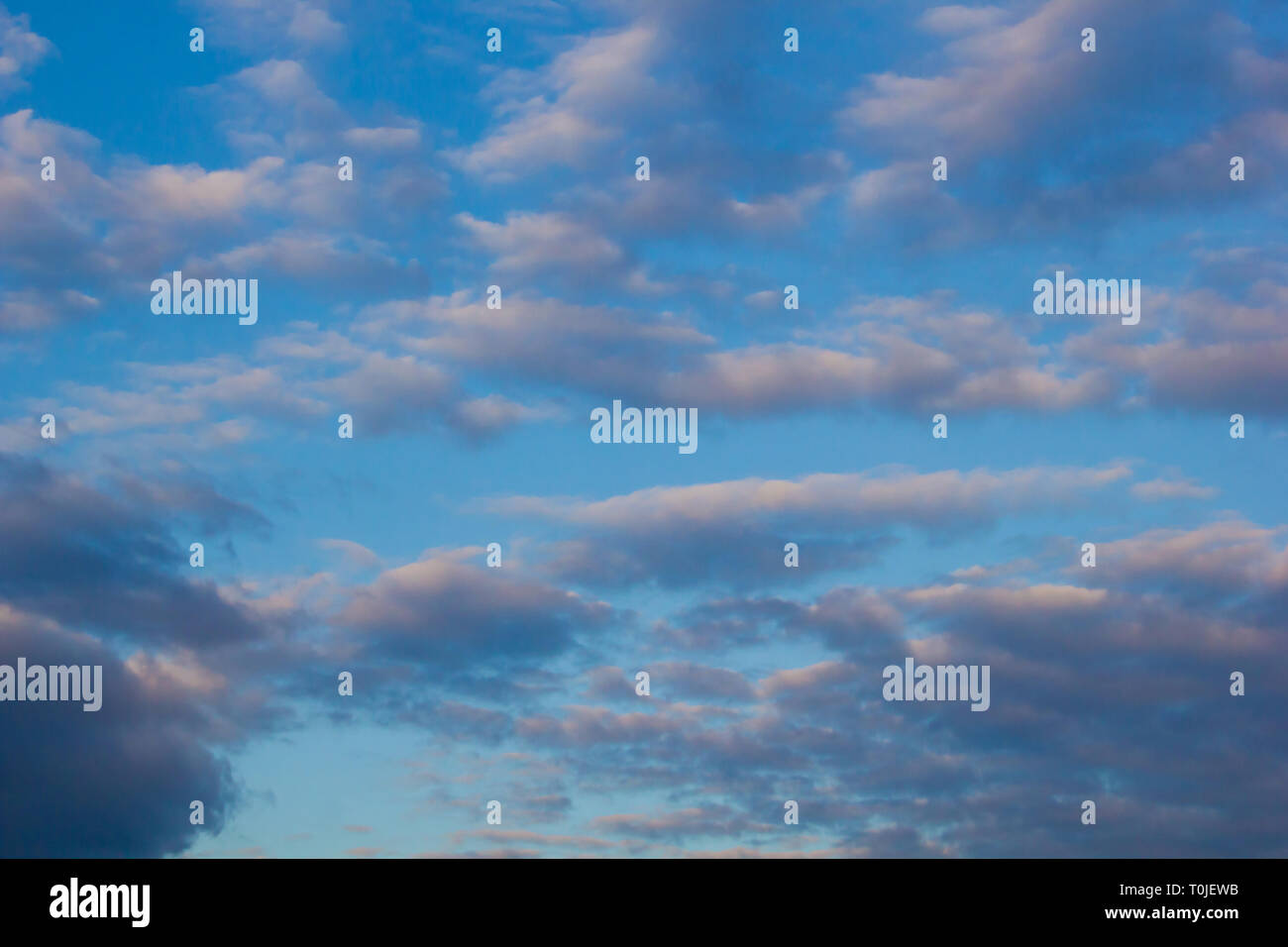 Sunset evening blue sky with clouds. Sky background Stock Photo - Alamy