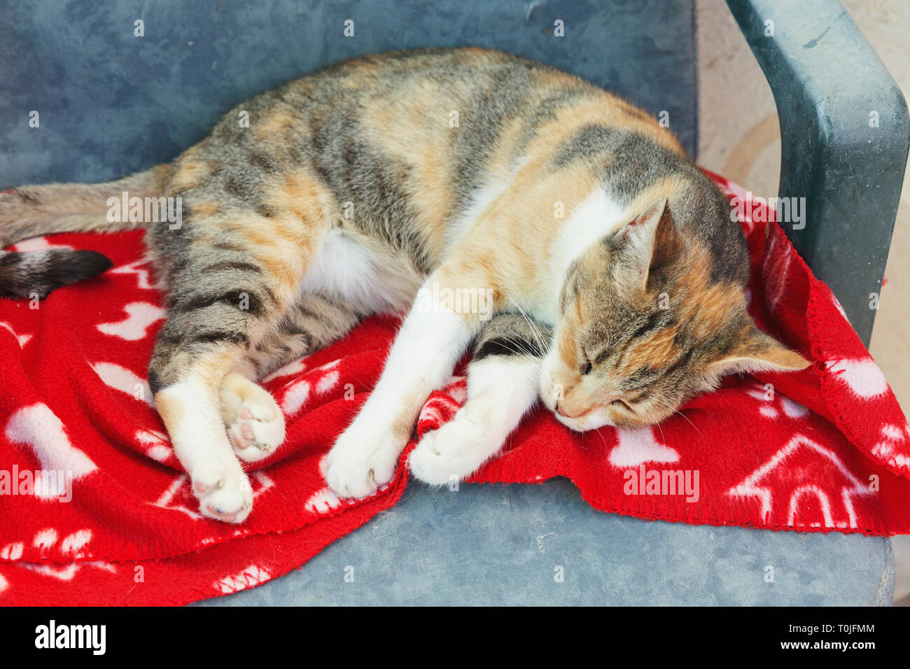 Blanket rescue hires stock photography and images Alamy