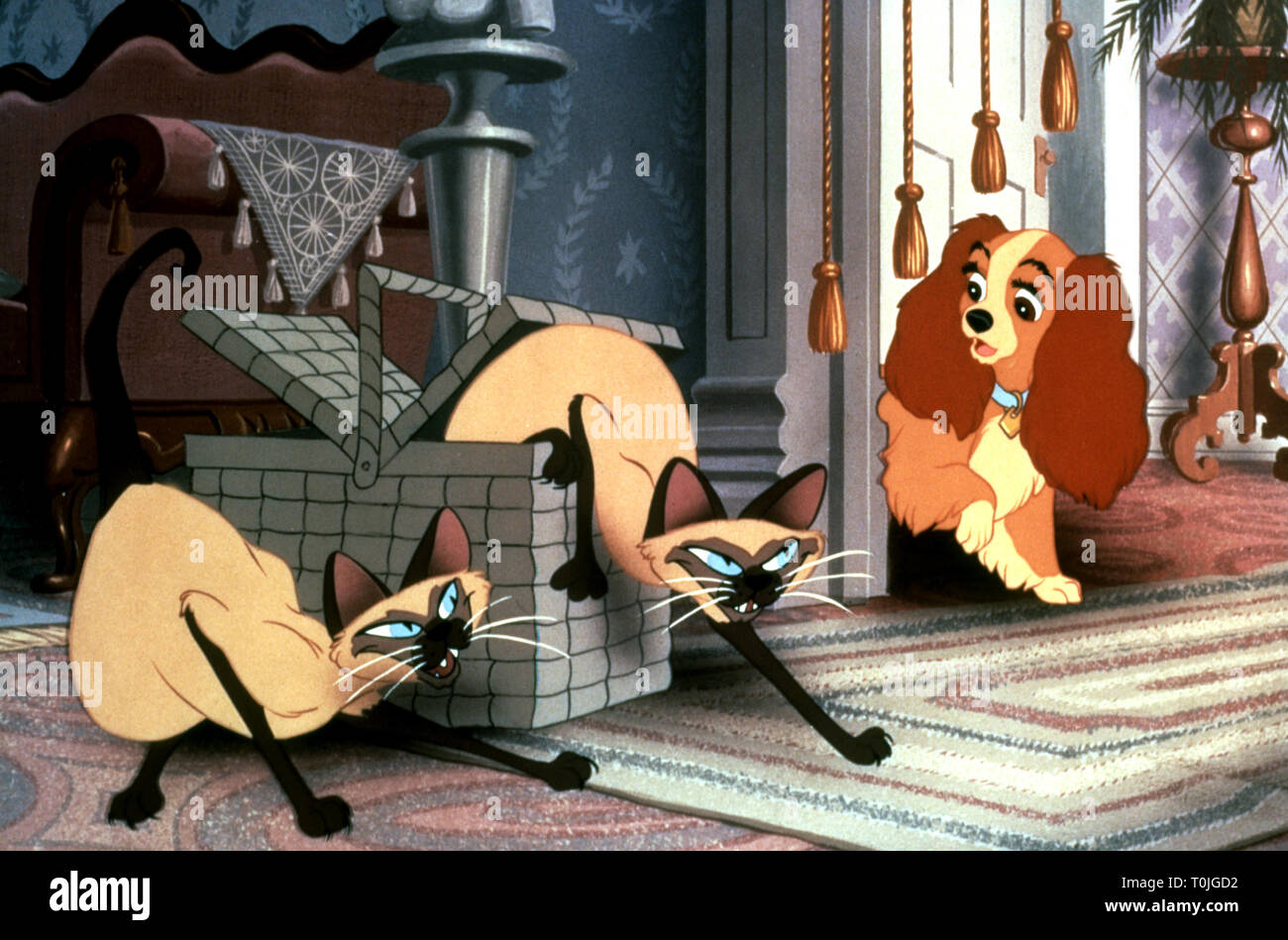SIAMESE CATS, LADY, LADY AND THE TRAMP, 1955 Stock Photo