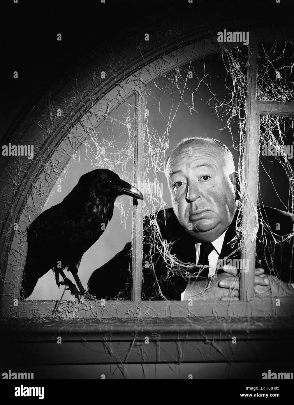 ALFRED HITCHCOCK, CROW, THE BIRDS, 1963 Stock Photo