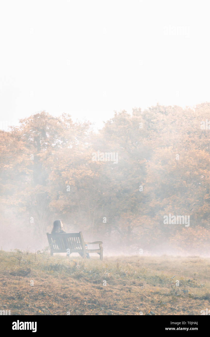 Rear view of a man with long hair sitting on a wooden bench in a misty meadow on an autumn day, facing away Stock Photo