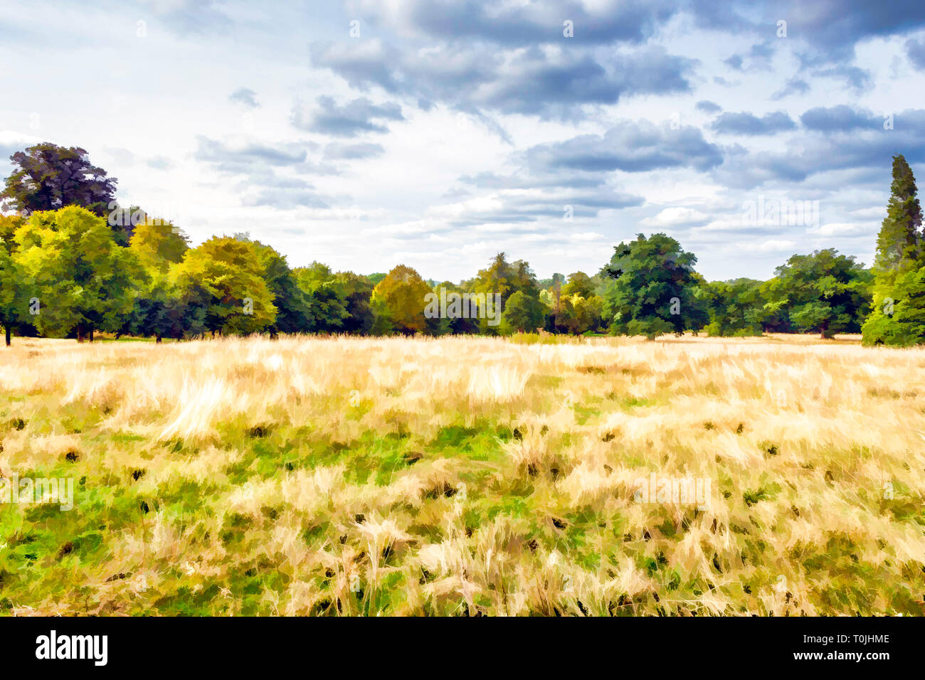 Painterly illustration of a yellow grassy meadow with trees and woodland in the background on a summer's day Stock Photo