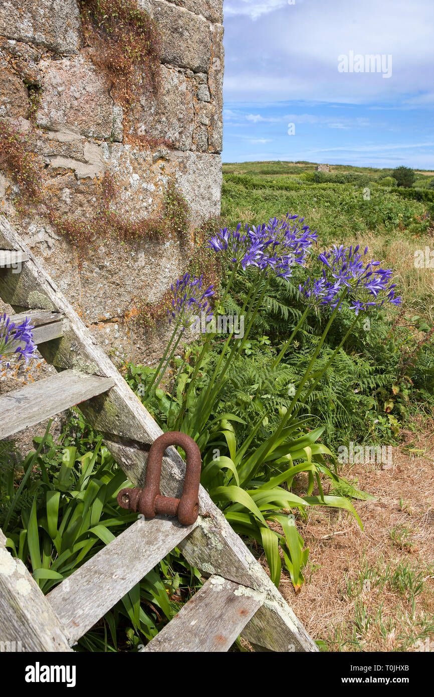 North Farm, Higher Town, St. Martin's, Isles of Scilly,UK Stock Photo