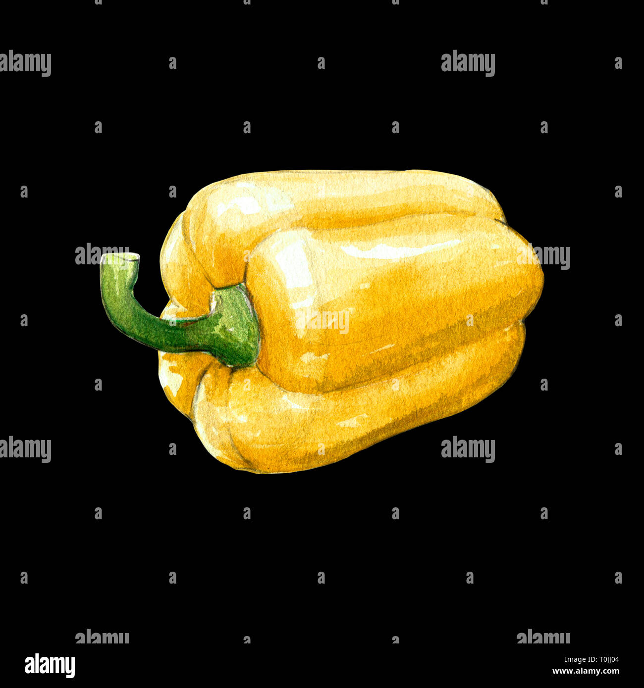 yellow bell pepper watercolor illustration on black background Stock Photo