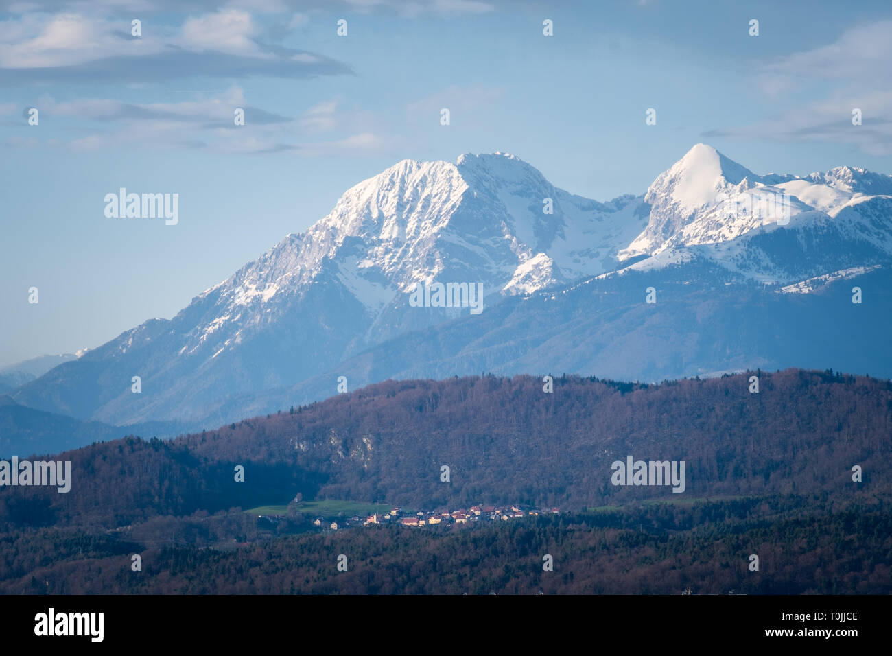 Rasica hi-res stock photography and images - Alamy