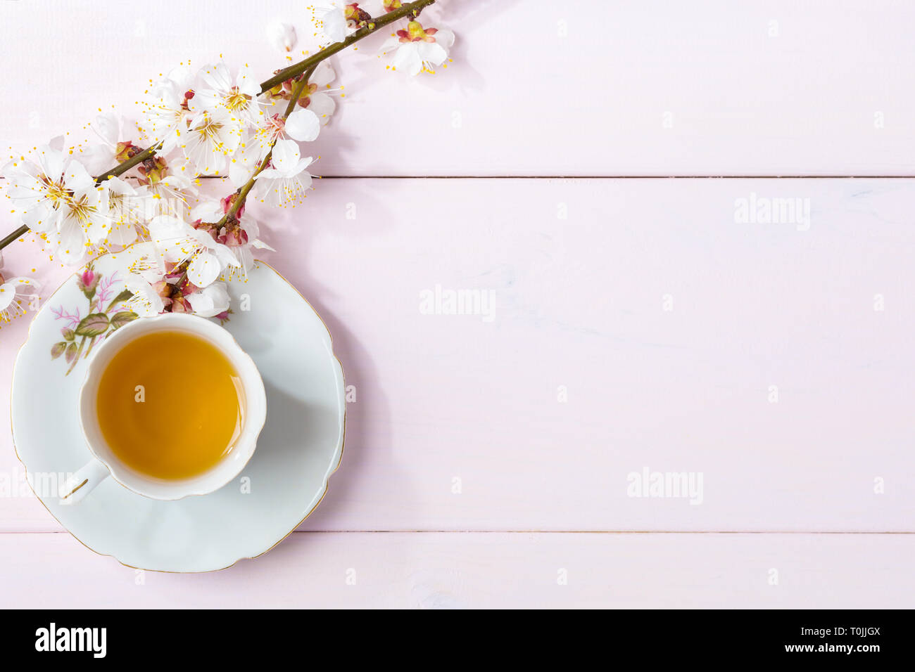 Cup of tea and spring flowers (blooms of an Apricot) on a light pink wooden table. Stock Photo