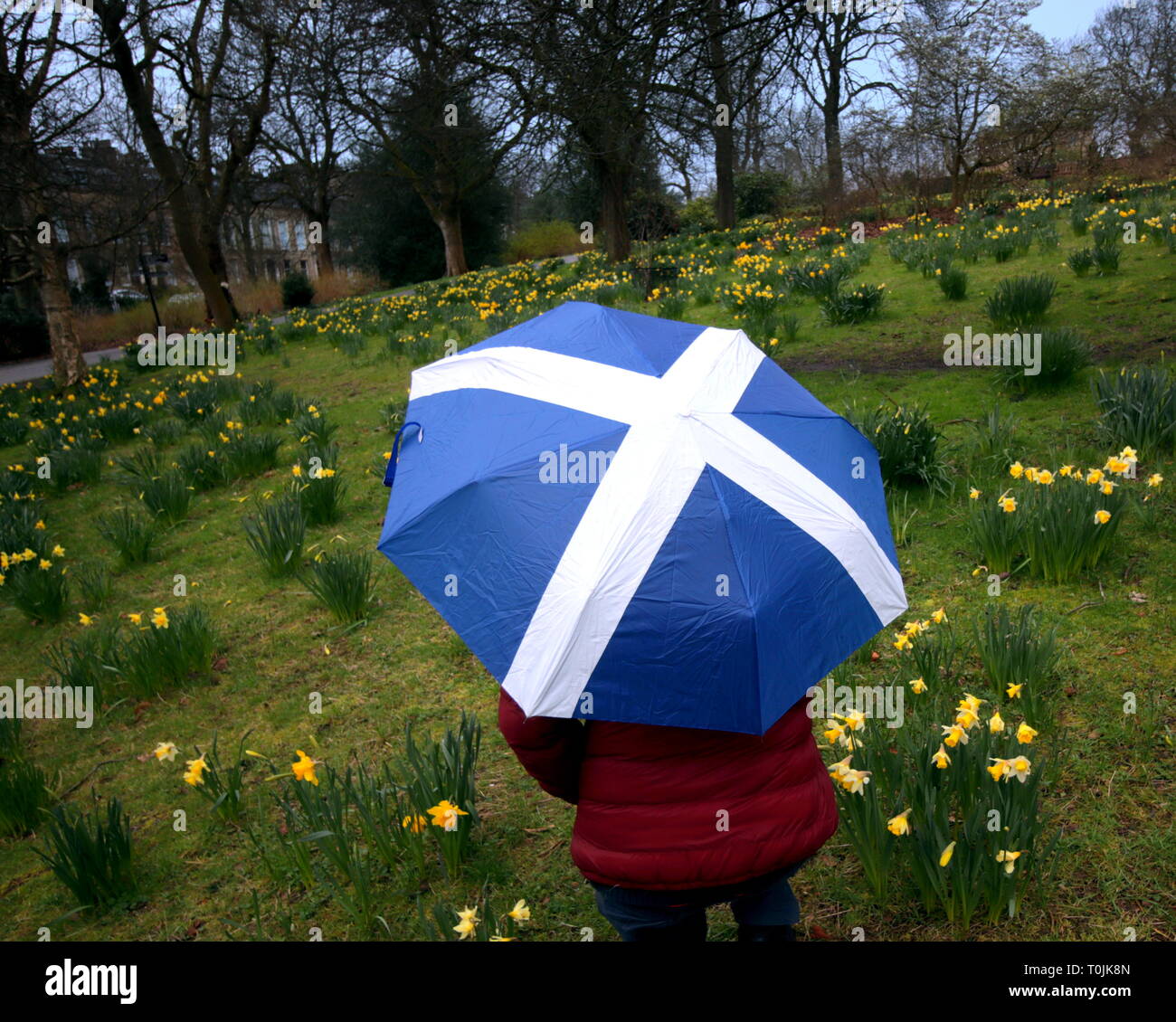Glasgow, Scotland, UK, 20th March, 2019, UK Weather: Spring Equinox in the Botanic gardens amongst the flora. Credit Gerard Ferry/Alamy Live News Stock Photo