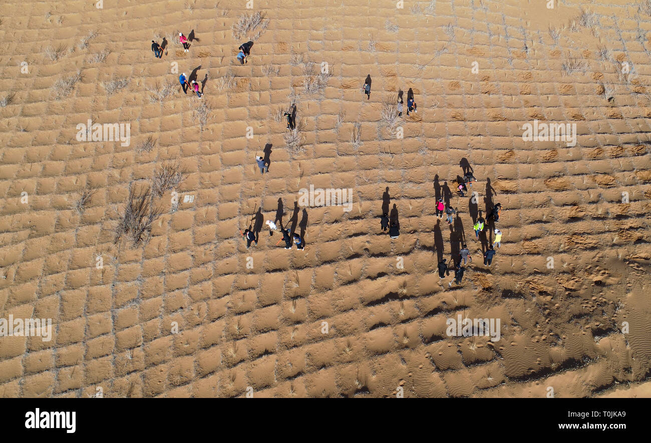 Zhangye, Zhangye, China. 20th Mar, 2019. Zhangye, CHINA-People make giant 'net' with wheat straws in desert to prevent sand storm in Linze County, Zhangye, Gansu Province. Credit: SIPA Asia/ZUMA Wire/Alamy Live News Stock Photo
