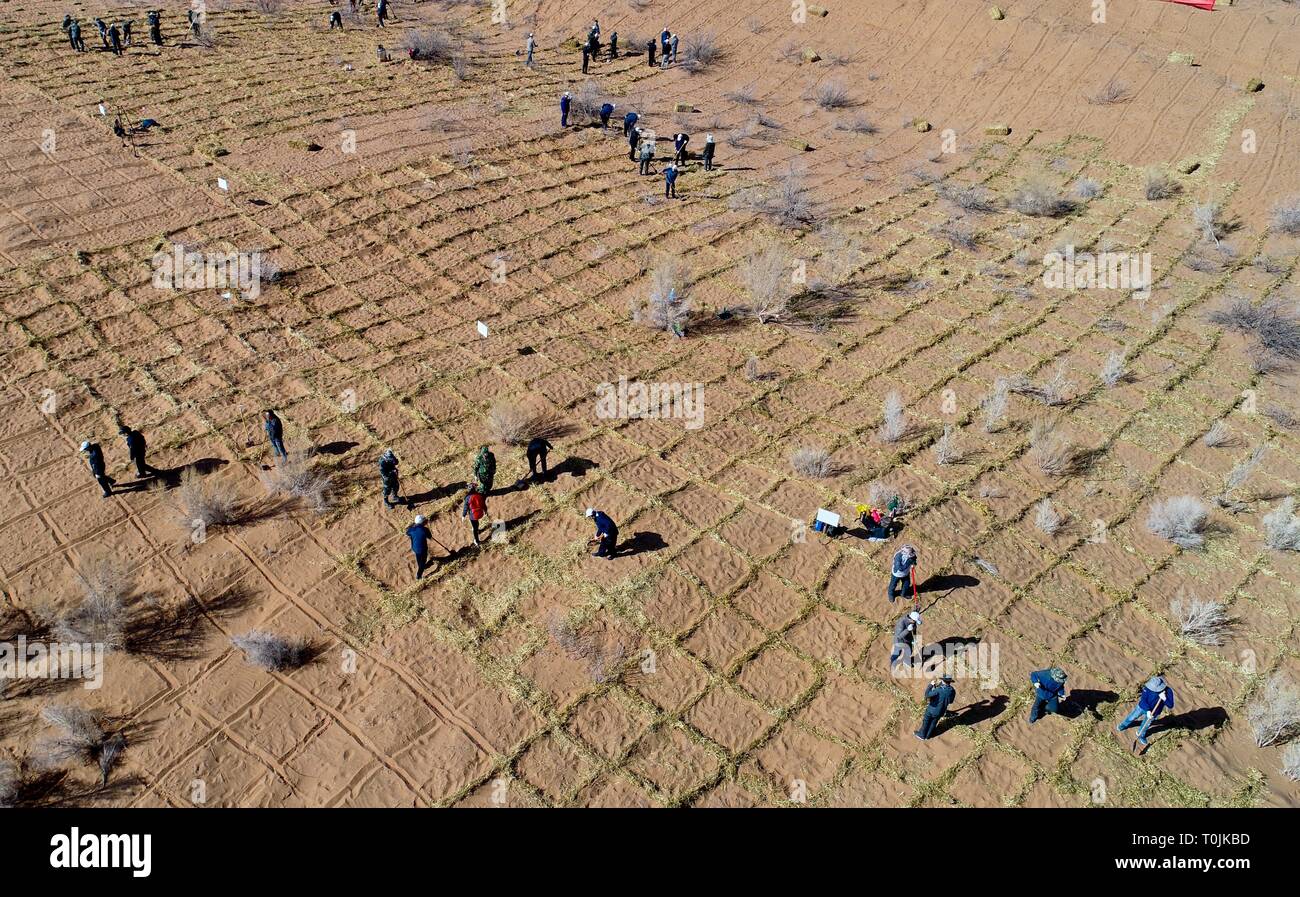 Zhangye, Zhangye, China. 20th Mar, 2019. Zhangye, CHINA-People make giant 'net' with wheat straws in desert to prevent sand storm in Linze County, Zhangye, Gansu Province. Credit: SIPA Asia/ZUMA Wire/Alamy Live News Stock Photo