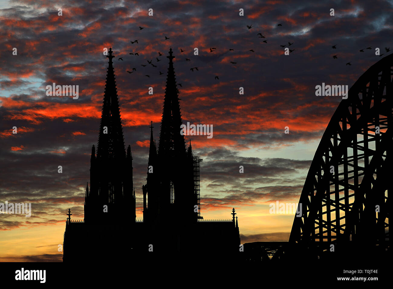 20 March 2019, North Rhine-Westphalia, Köln: In front of a cloudy evening sky in the colours red, blue and yellow, birds fly past Cologne Cathedral. Photo: Oliver Berg/dpa Stock Photo