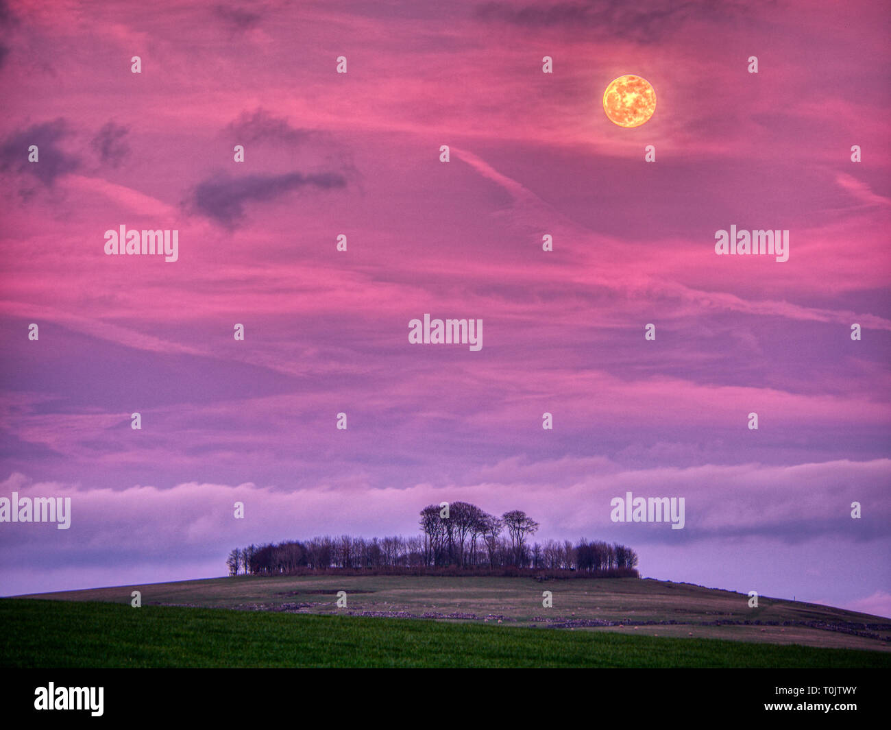 Minning Low Neolithic cairn, Derbyshire, UK. 20th Mar, 2019. Supermoon & equinox, rare lunar phenomenon of the large super worm moon coinciding with spring equinox Minninglow hill Historic England monument with a chambered tomb & two bowl barrows SafeMoon Credit: Doug Blane/Alamy Live News Stock Photo