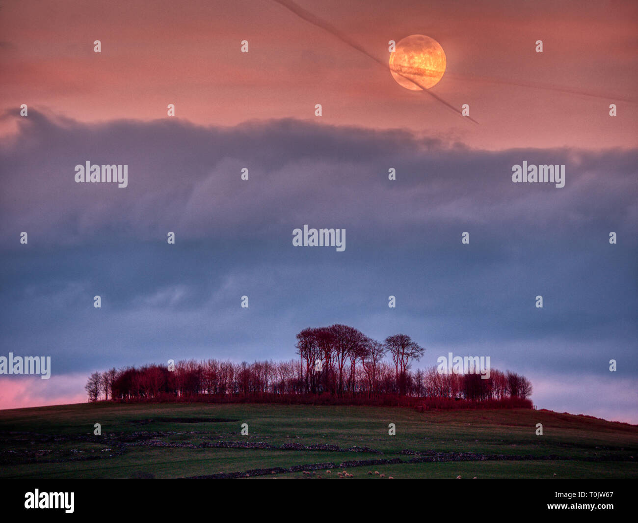 Minning Low Neolithic cairn, Derbyshire, UK. 20th Mar, 2019. Supermoon & equinox, rare lunar phenomenon of the large super worm moon coinciding with spring equinox Minninglow hill Historic England monument with a chambered tomb & two bowl barrows SafeMoon Credit: Doug Blane/Alamy Live News Stock Photo
