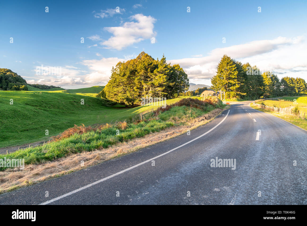 Beautiful New Zealand road Stock Photo Alamy