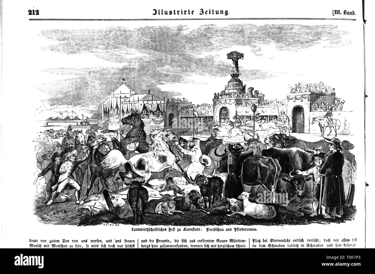 festivities, public festival, agricultural festival at Kannstadt, awards show and horse race, wood engraving, from: 'Illustrirte Zeitung', Leipzig, 19th century, 19th century, graphic, graphics, Germany, Wuerttemberg, Wurttemberg, Württemberg, Stuttgart, Bad Cannstatt, Canstatter Wasen, agriculture, farming, stand, stands, spectator, spectators, contest, contests, competition, competitions, race, races, animal, animals, horse, horses, presentation of prizes, prize-giving, award, awards, animal breeding, livestock breeding, stock breeding, cattle,, Additional-Rights-Clearance-Info-Not-Available Stock Photo