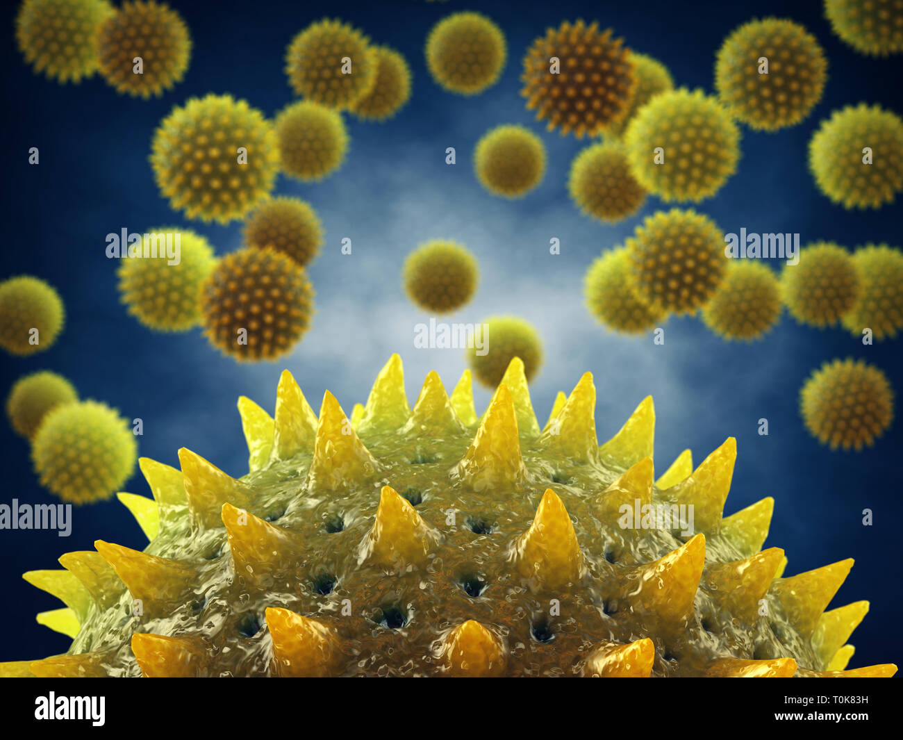 Pollen allergy is also known as hay fever or allergic rhinitis, Microscopic pollen grains Stock Photo