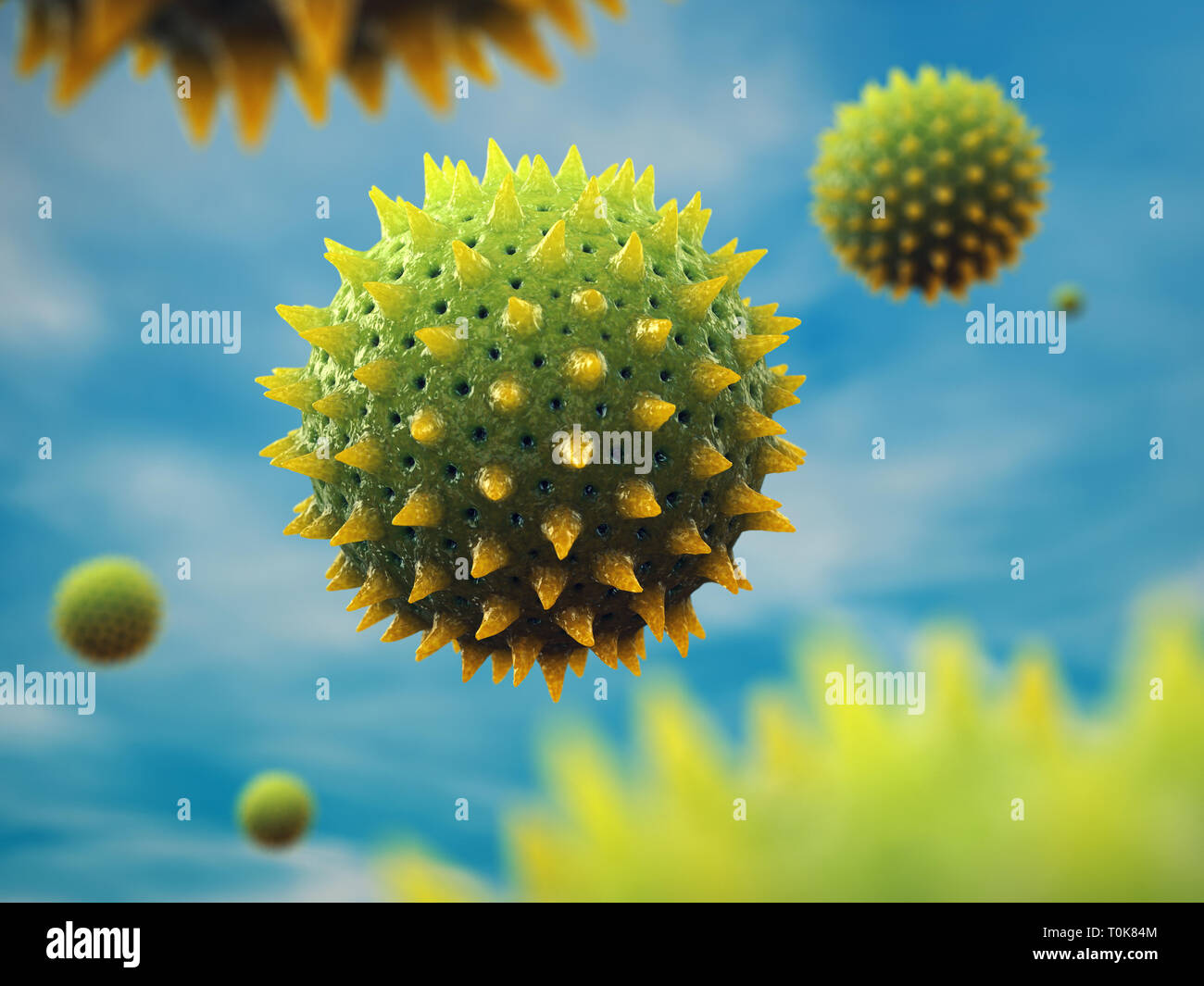 Pollen is one of the most common causes of allergies, Airborne pollen grains Stock Photo