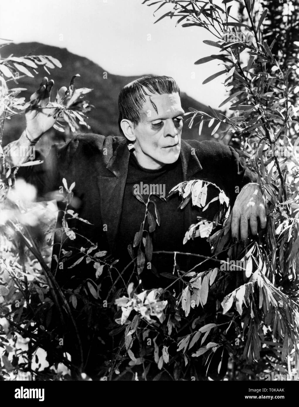 BORIS KARLOFF, FRANKENSTEIN, 1931 Stock Photo