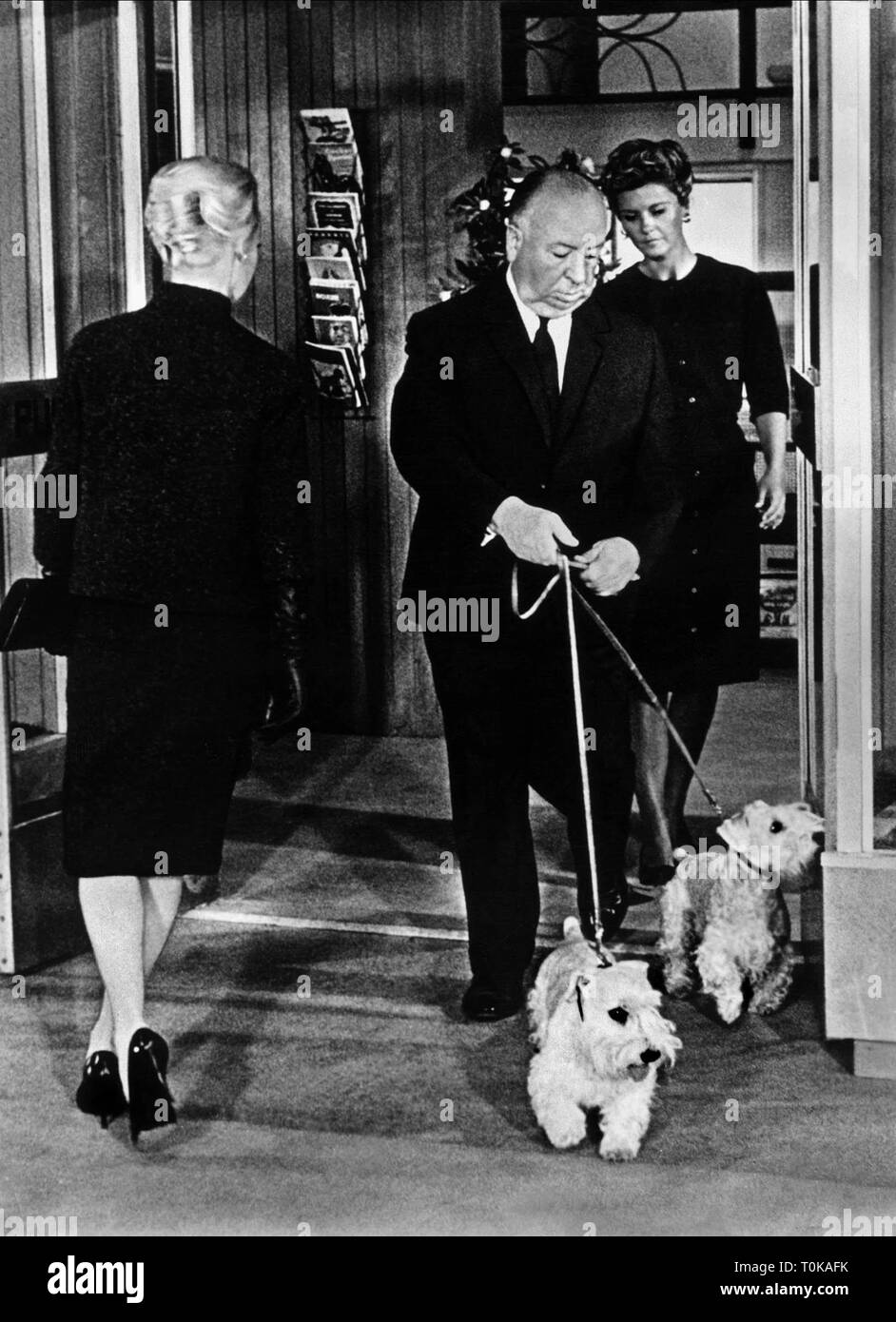 TIPPI HEDREN, ALFRED HITCHCOCK WITH DOGS, THE BIRDS, 1963 Stock Photo