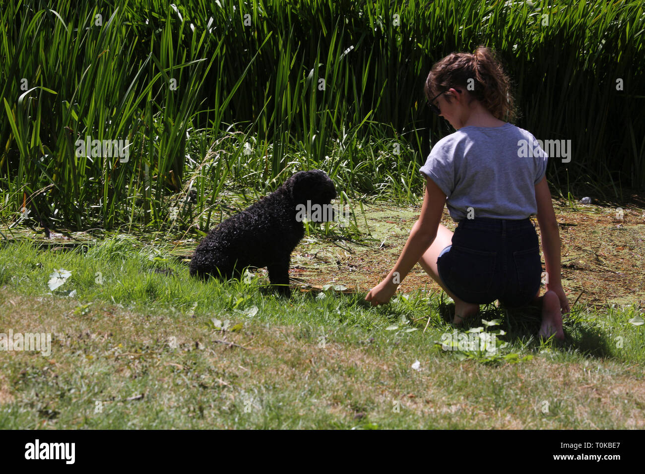 Teenager in Garden with her Cockapoo Dog by River Stour Gillingham ...