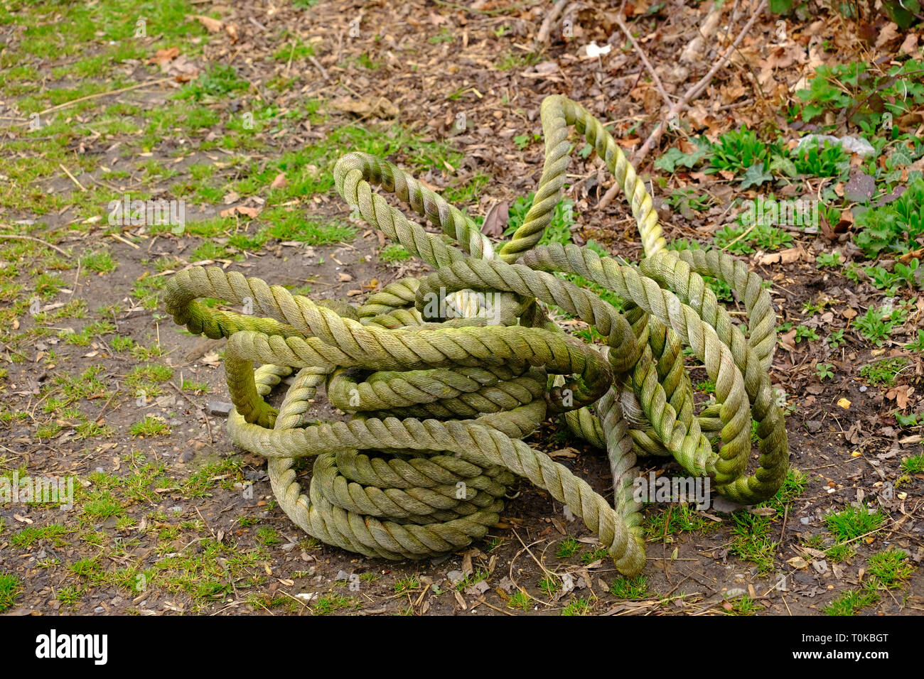 Sturdy rope coiled with green grass staining Stock Photo