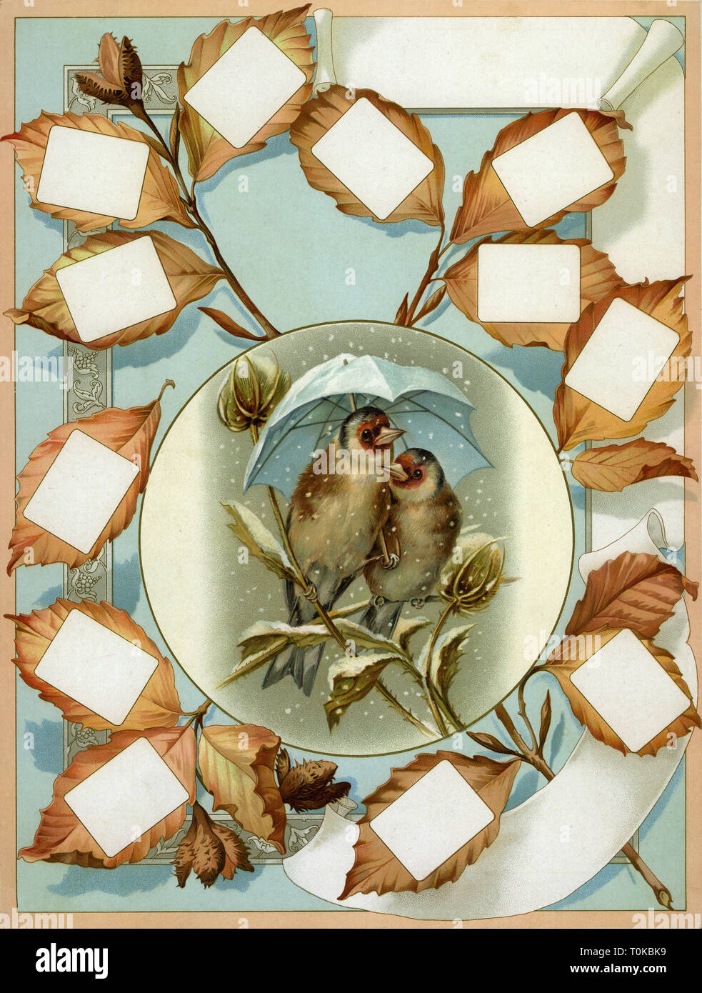 kitsch / souvenir, bird's wedding, extremely decorative sheet, chromolithograph, Germany, circa 1895, Additional-Rights-Clearance-Info-Not-Available Stock Photo