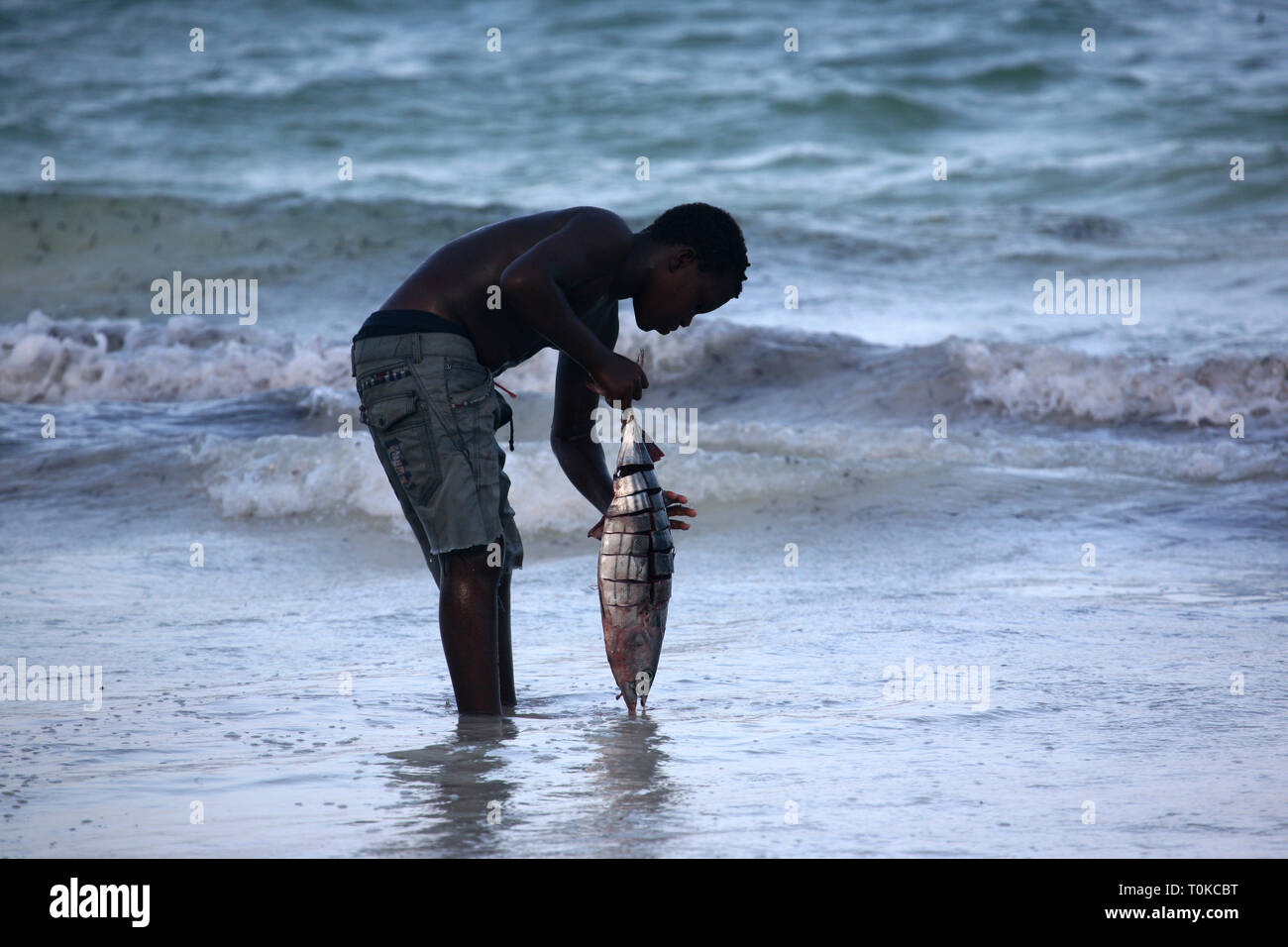 Boy with a big fish at Sansibar Beach - preparing the food Stock Photo