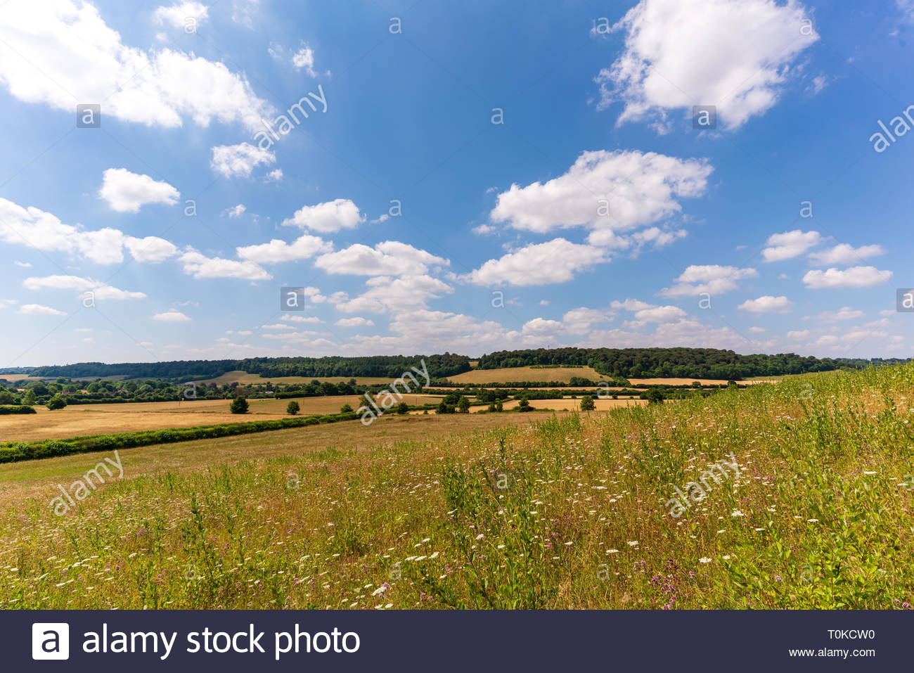 Saunderton Stock Photos & Saunderton Stock Images Alamy