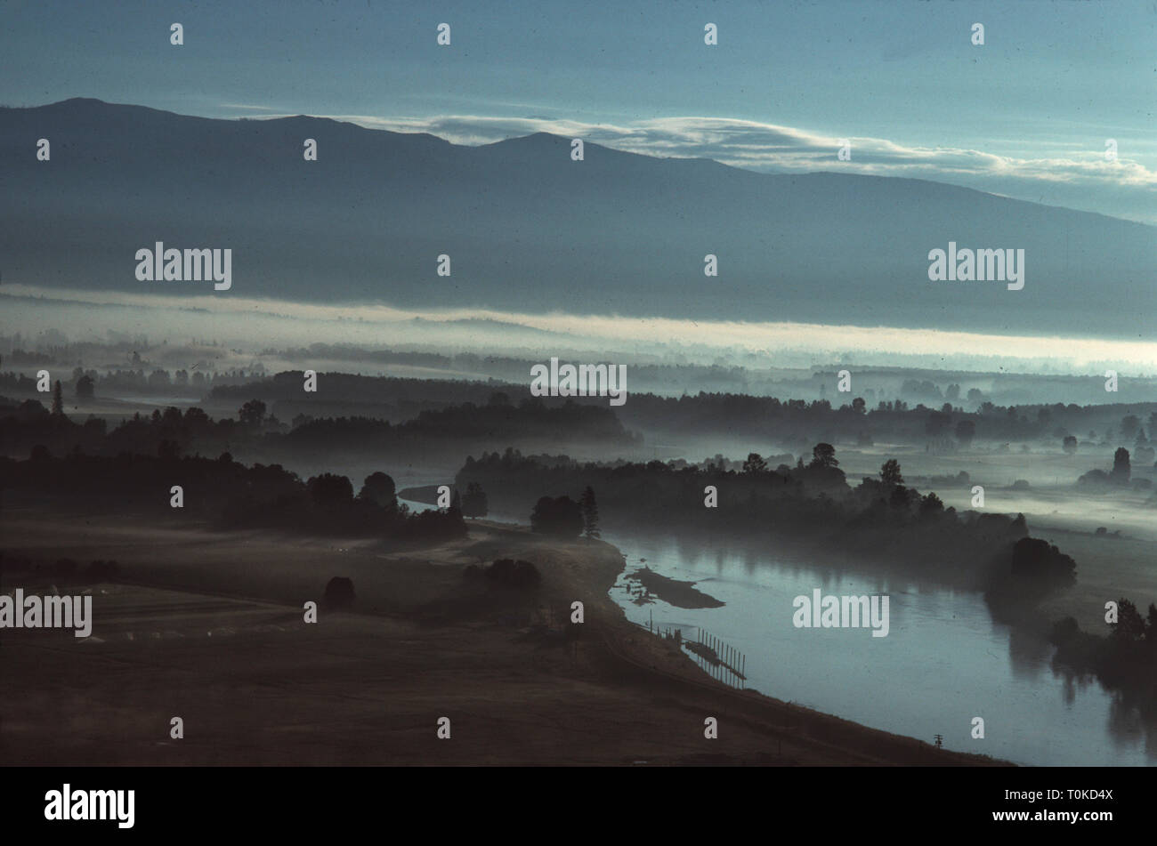 Skagit Valley River With Fog and Mountains WA Stock Photo