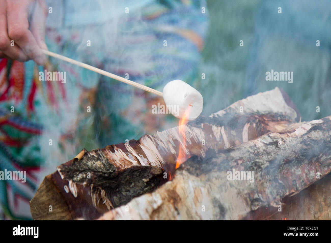 Marshmallow stick fire hires stock photography and images Alamy
